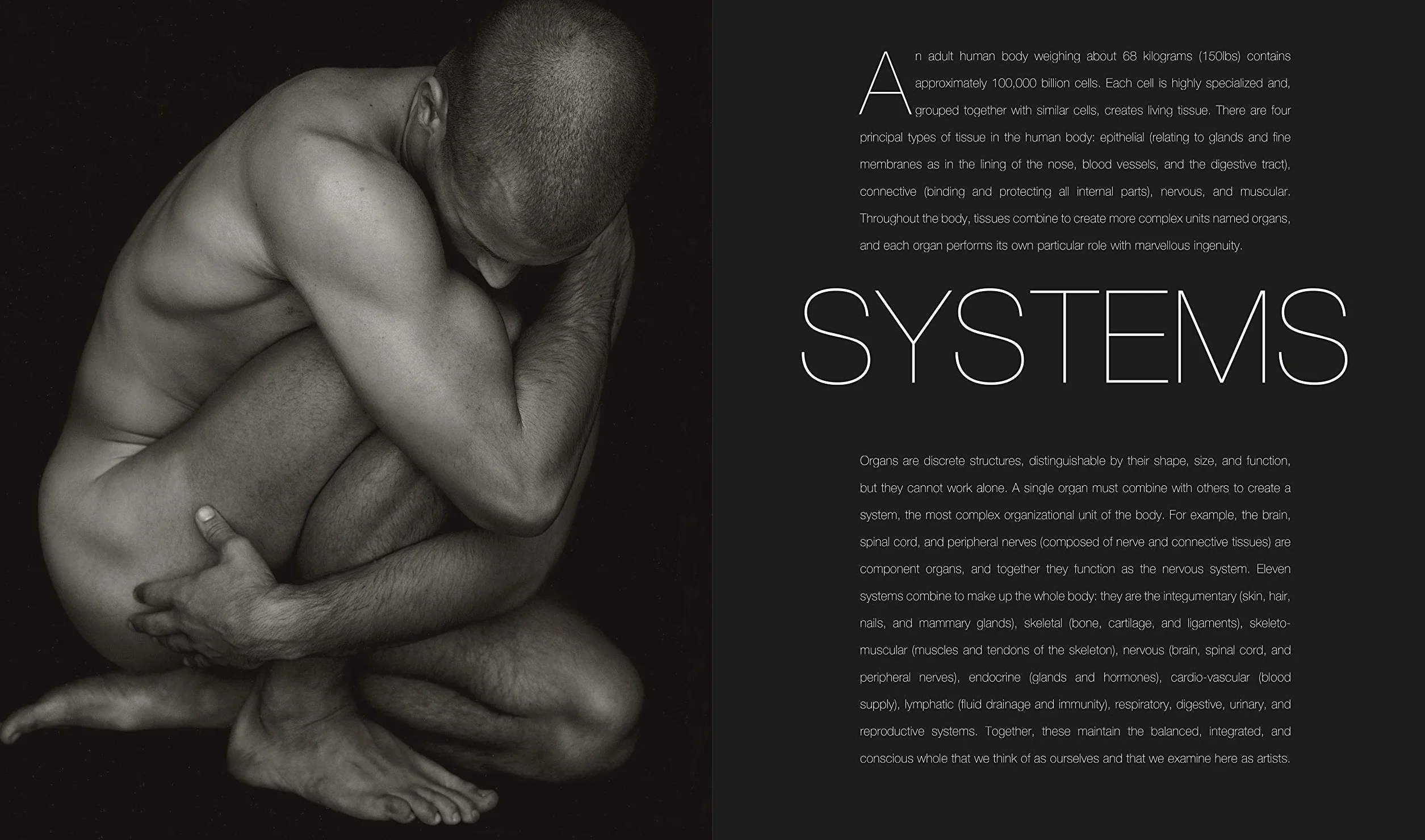 Anatomy for the Artist
