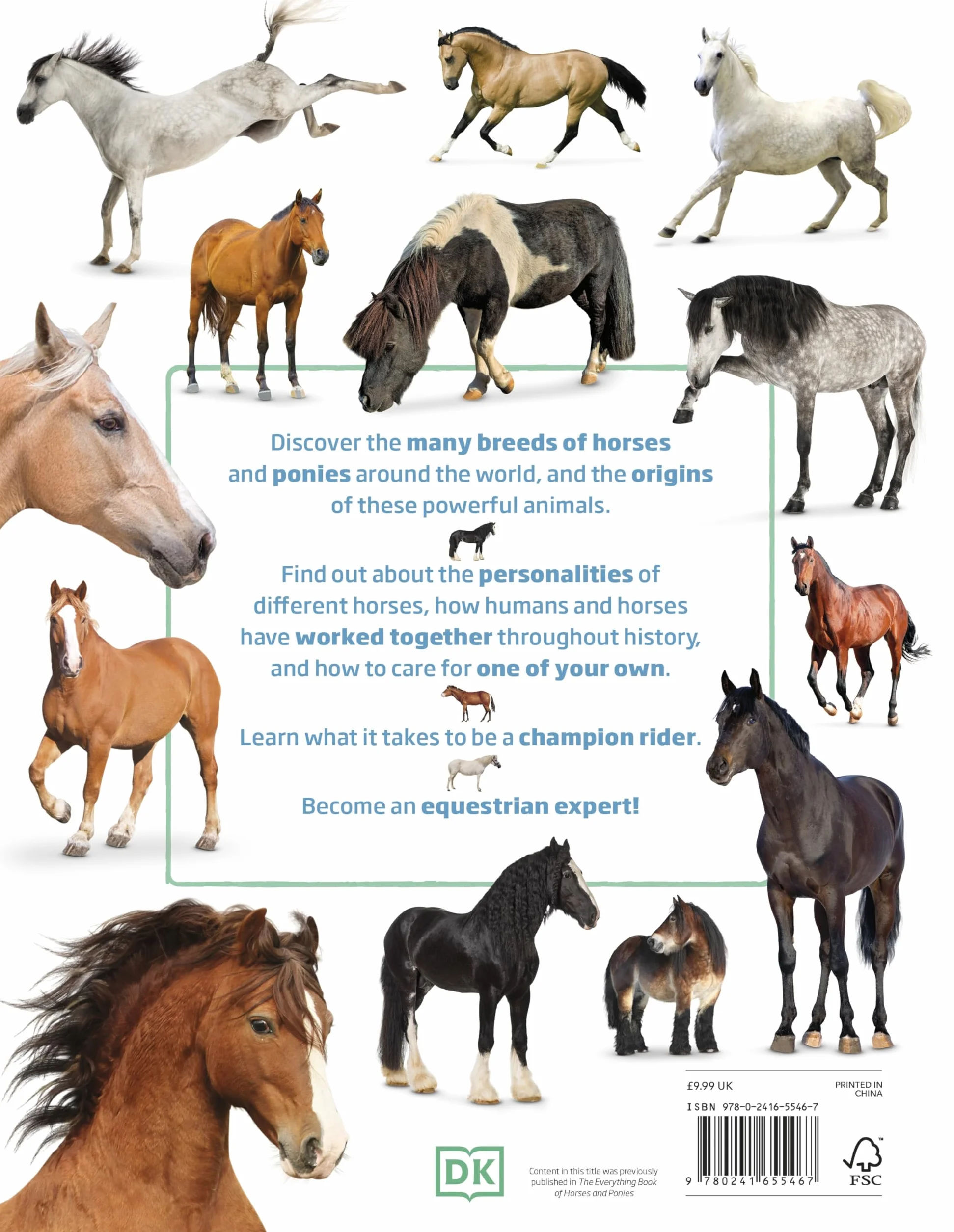 My Book of Horses and Ponies: Fact-Filled Guide to Equine Friends