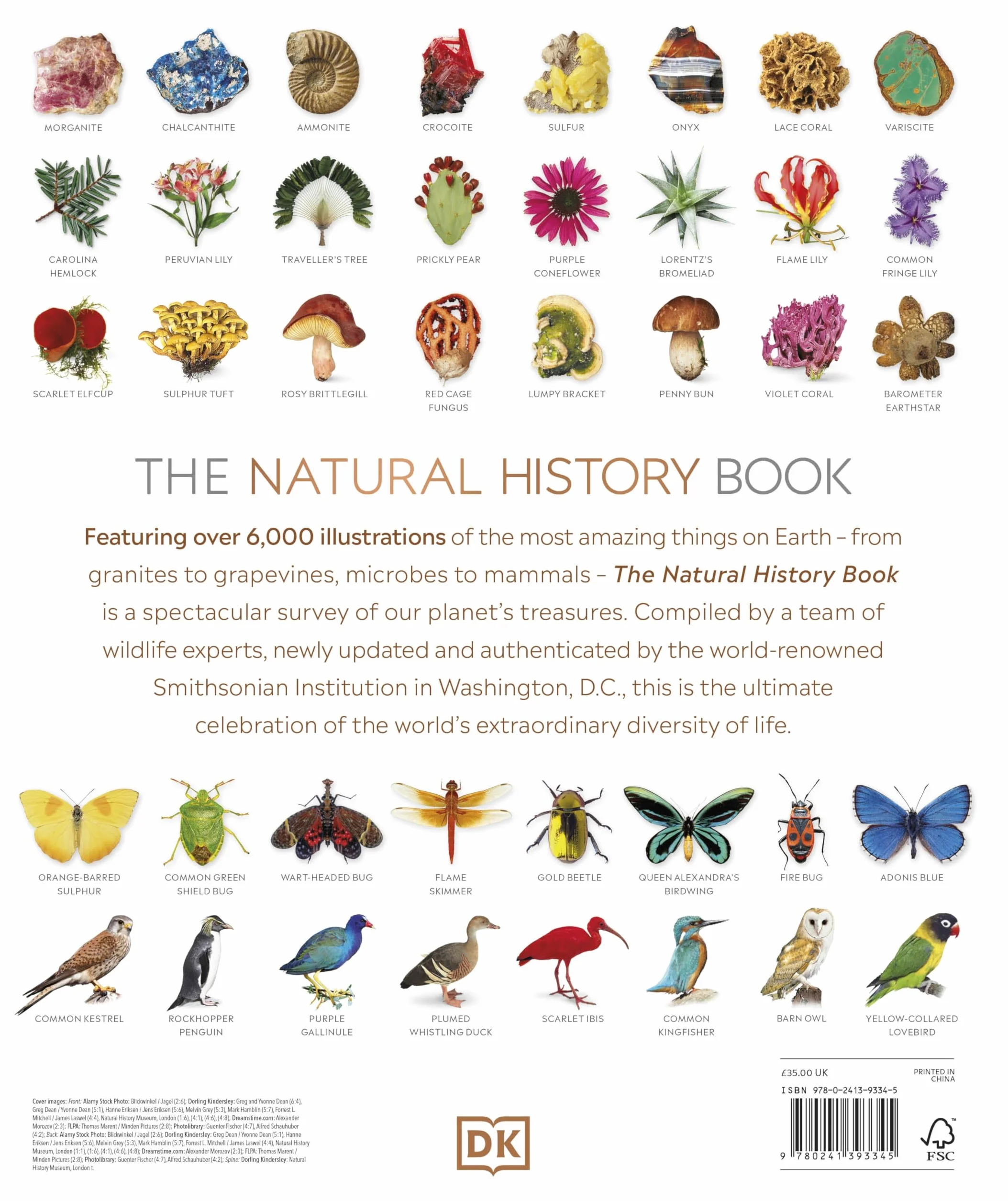 The Natural History Book: The Ultimate Visual Guide to Everything on Earth