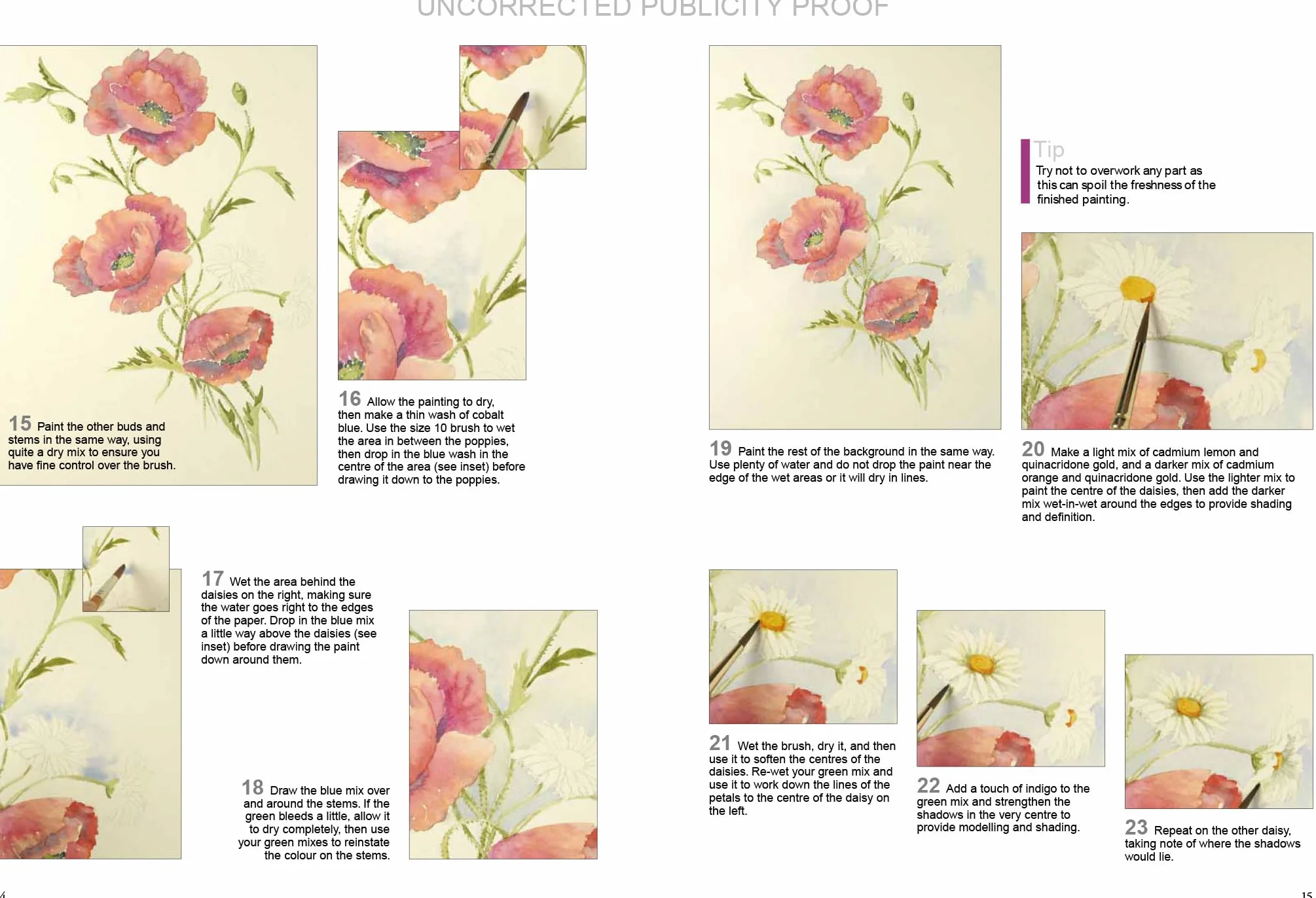 Watercolour Flowers Paint Set