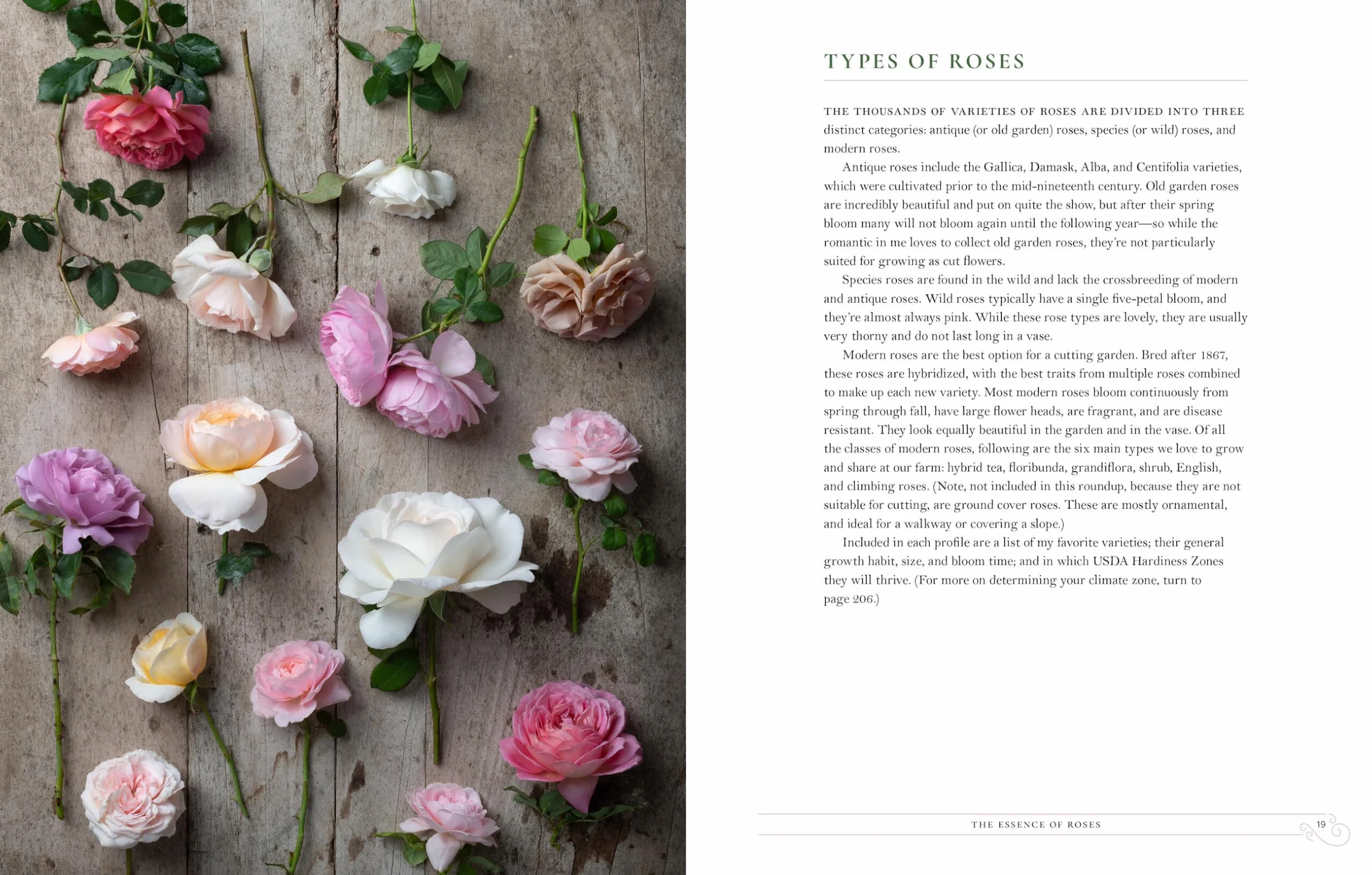 Grace Rose Farm: Garden Roses: Growing & Arranging Spectacular Blooms