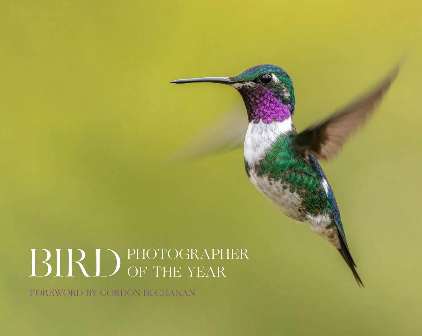 Bird Photographer of the Year