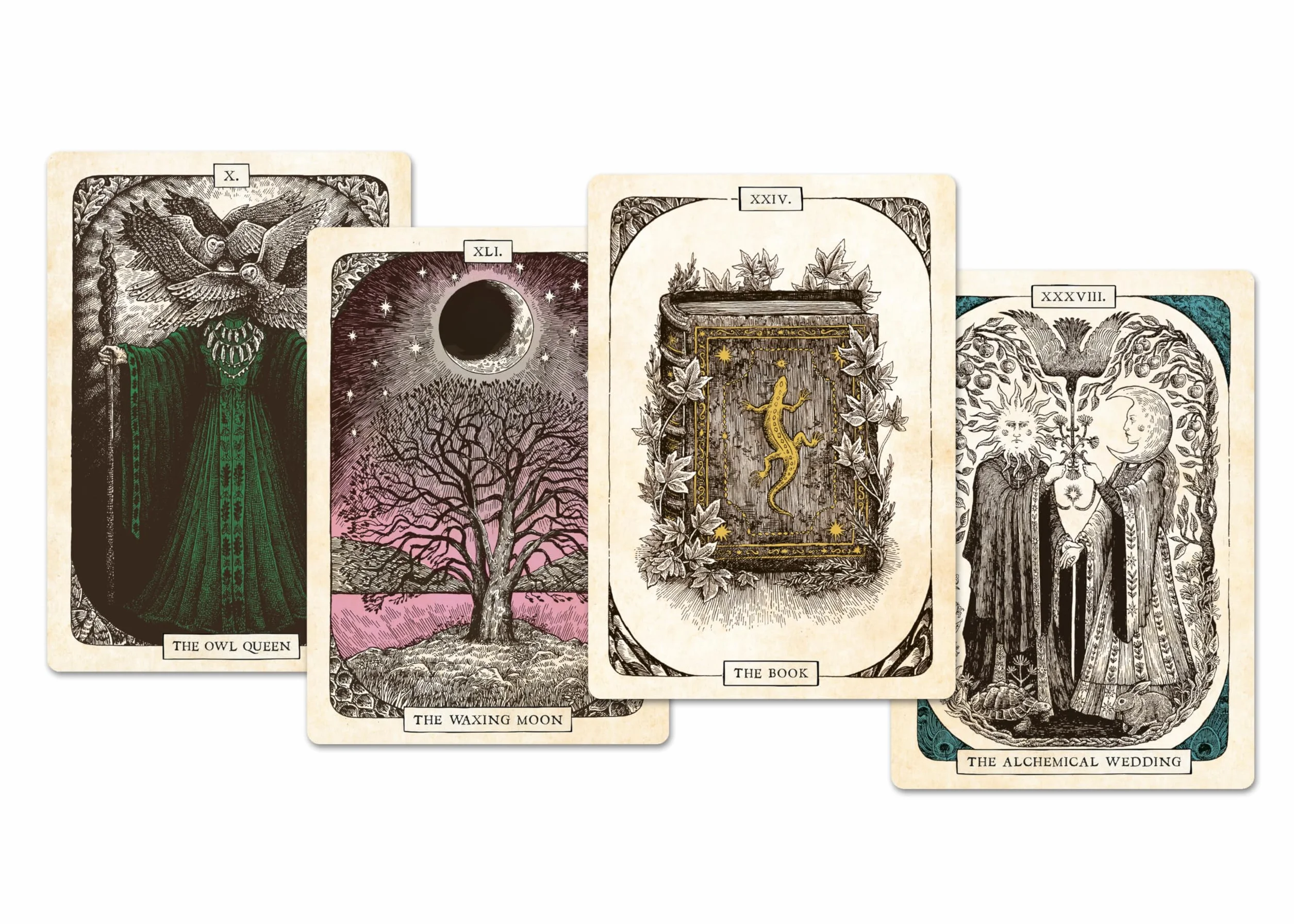 The Black Bird Oracle Deck: 52-Card Deck and Guidebook
