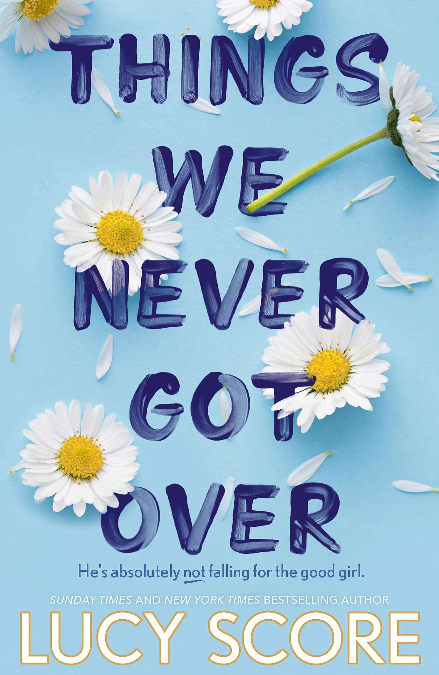 Things We Never Got Over: Small-Town Romcom Bestseller