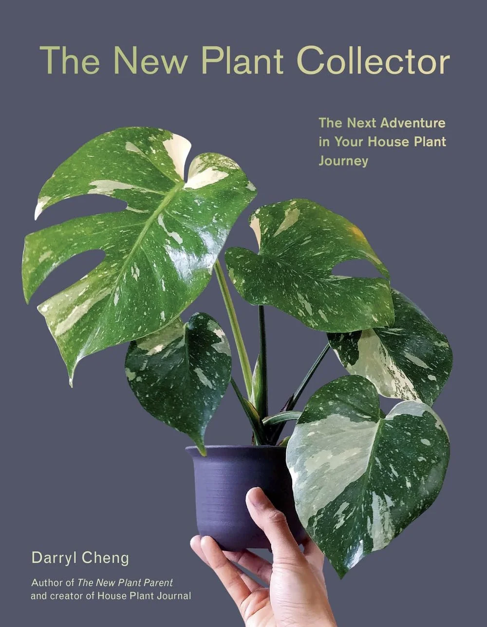 The New Plant Collector: Your House Plant Journey Adventure
