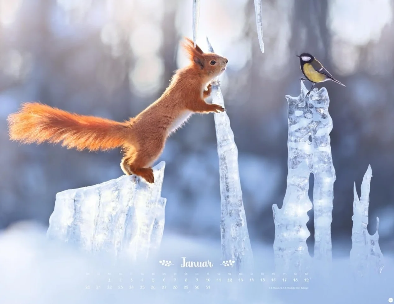 Vadim Trunov Märchenhaftes Waldleben Posterkalender 2025 Naturkalender 44 x 34 cm Querformat