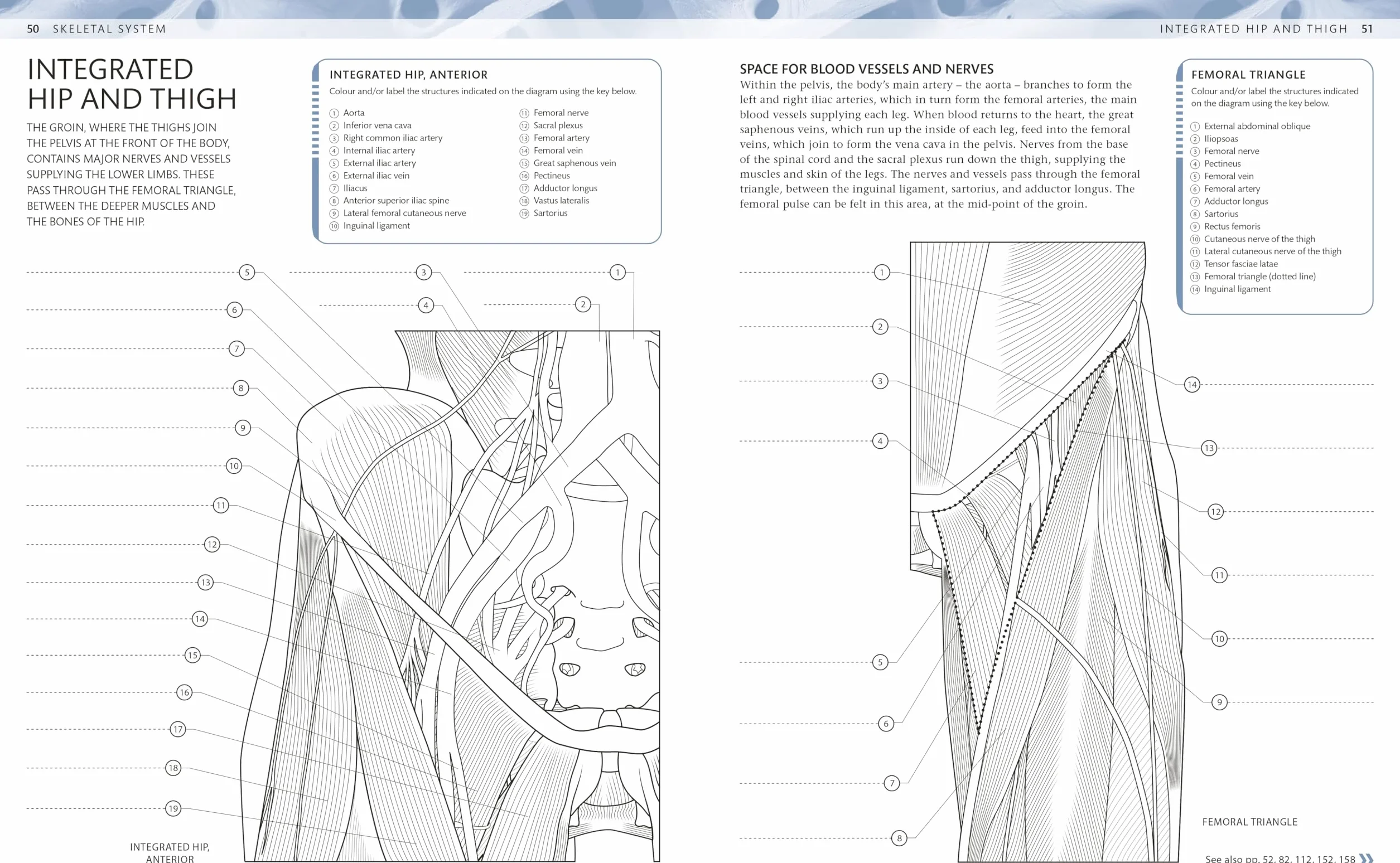 The Human Body Colouring Book: The Ultimate Anatomy Study Guide