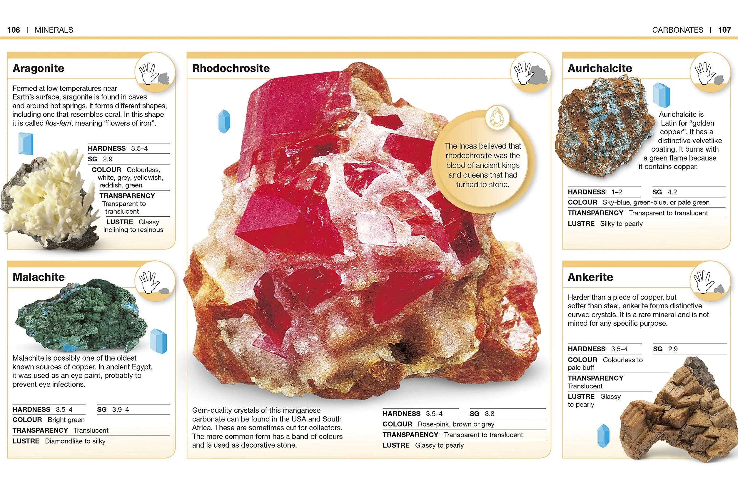 Pocket Eyewitness Rocks and Minerals: Facts at Your Fingertips