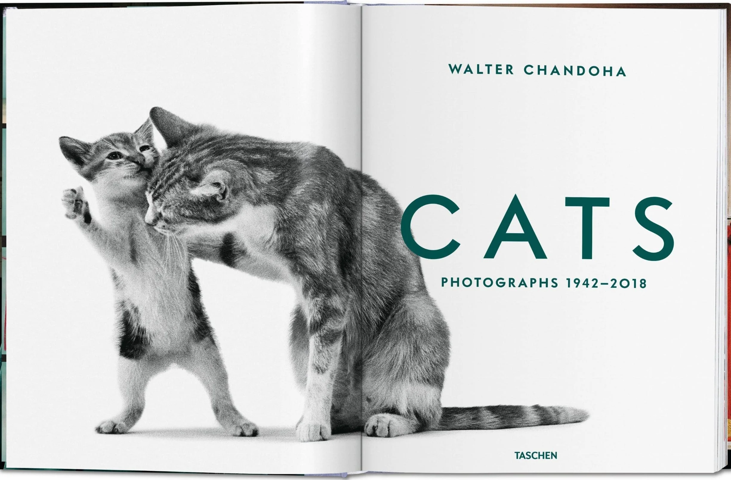 Cats Photographs 1942-2018