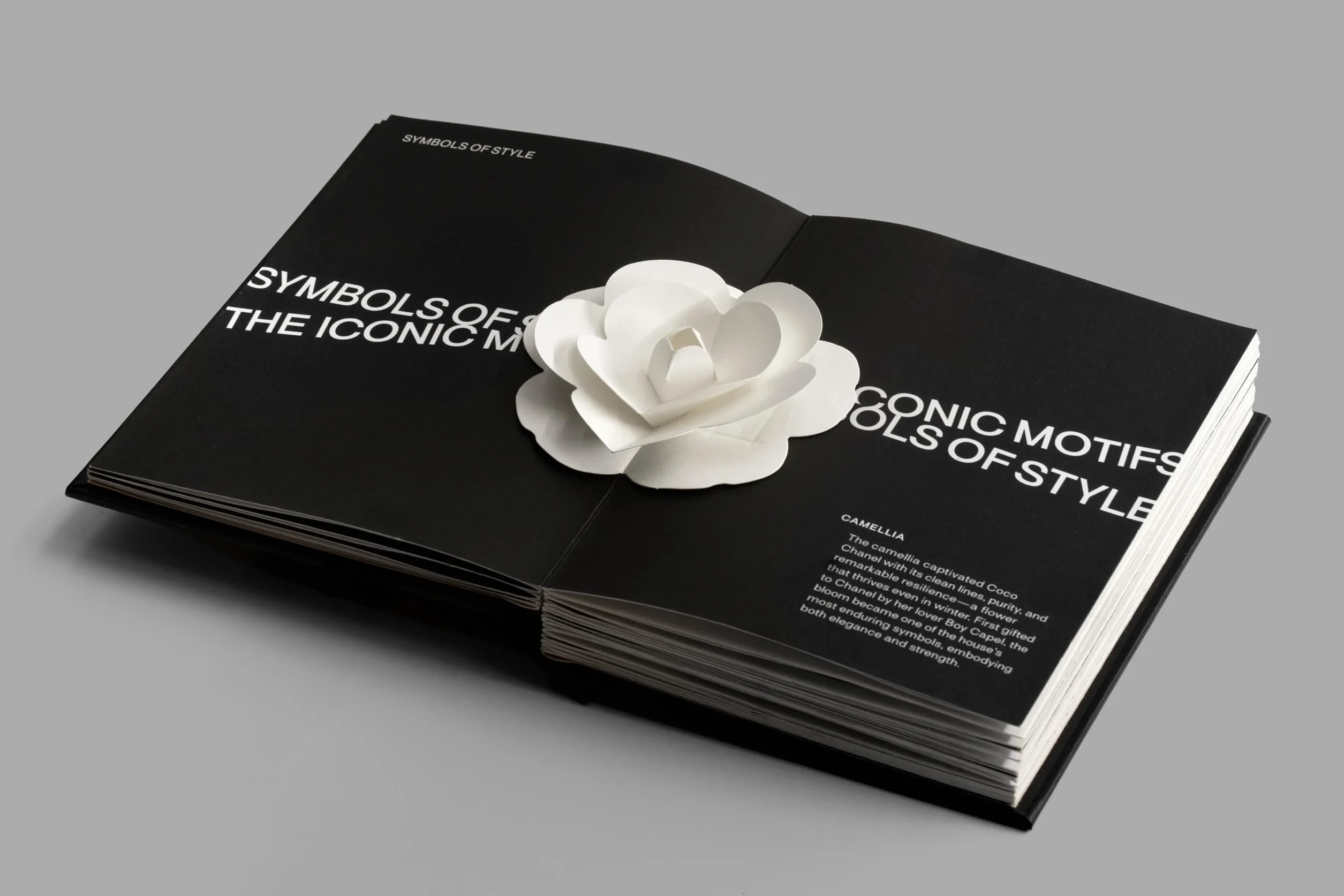 Chanel Fashion Unfolded