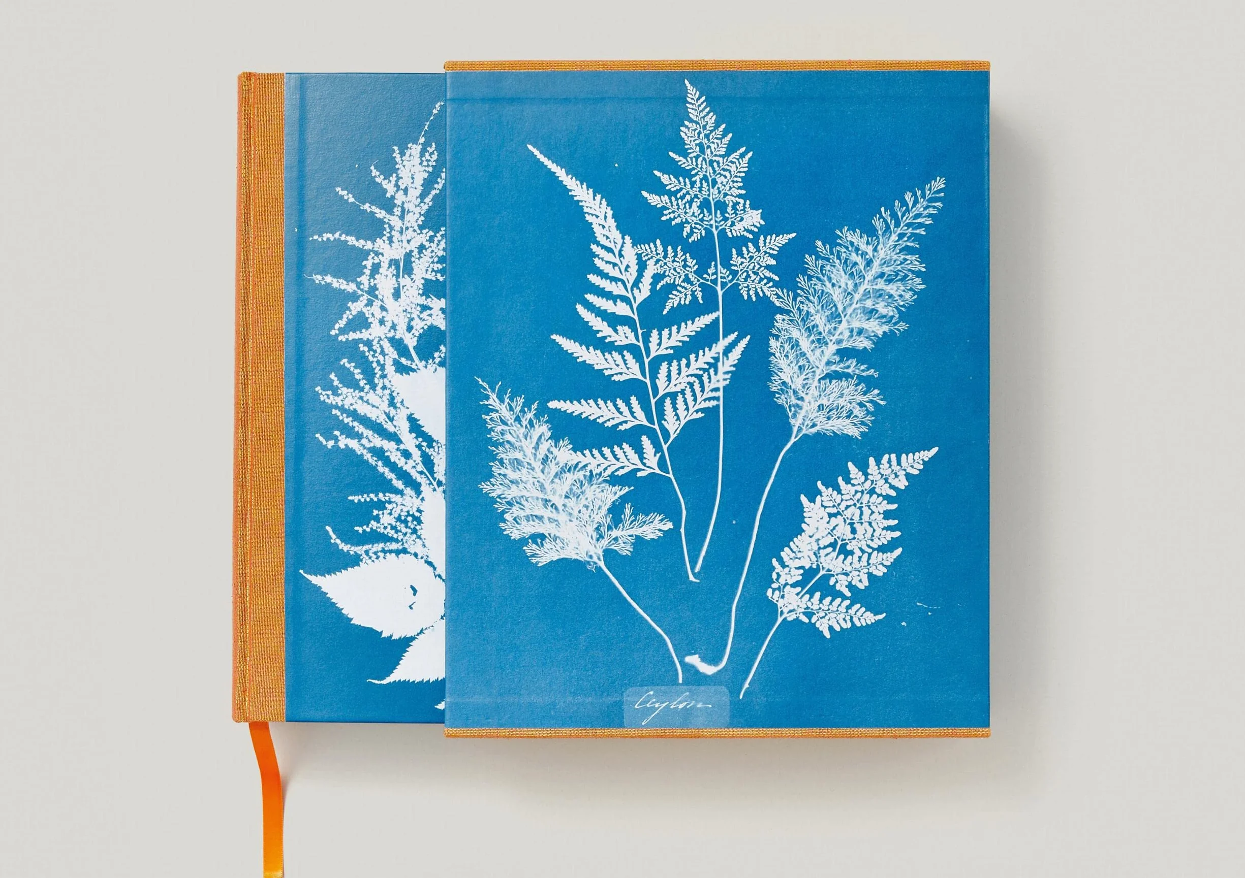 Anna Atkins. Cyanotypes