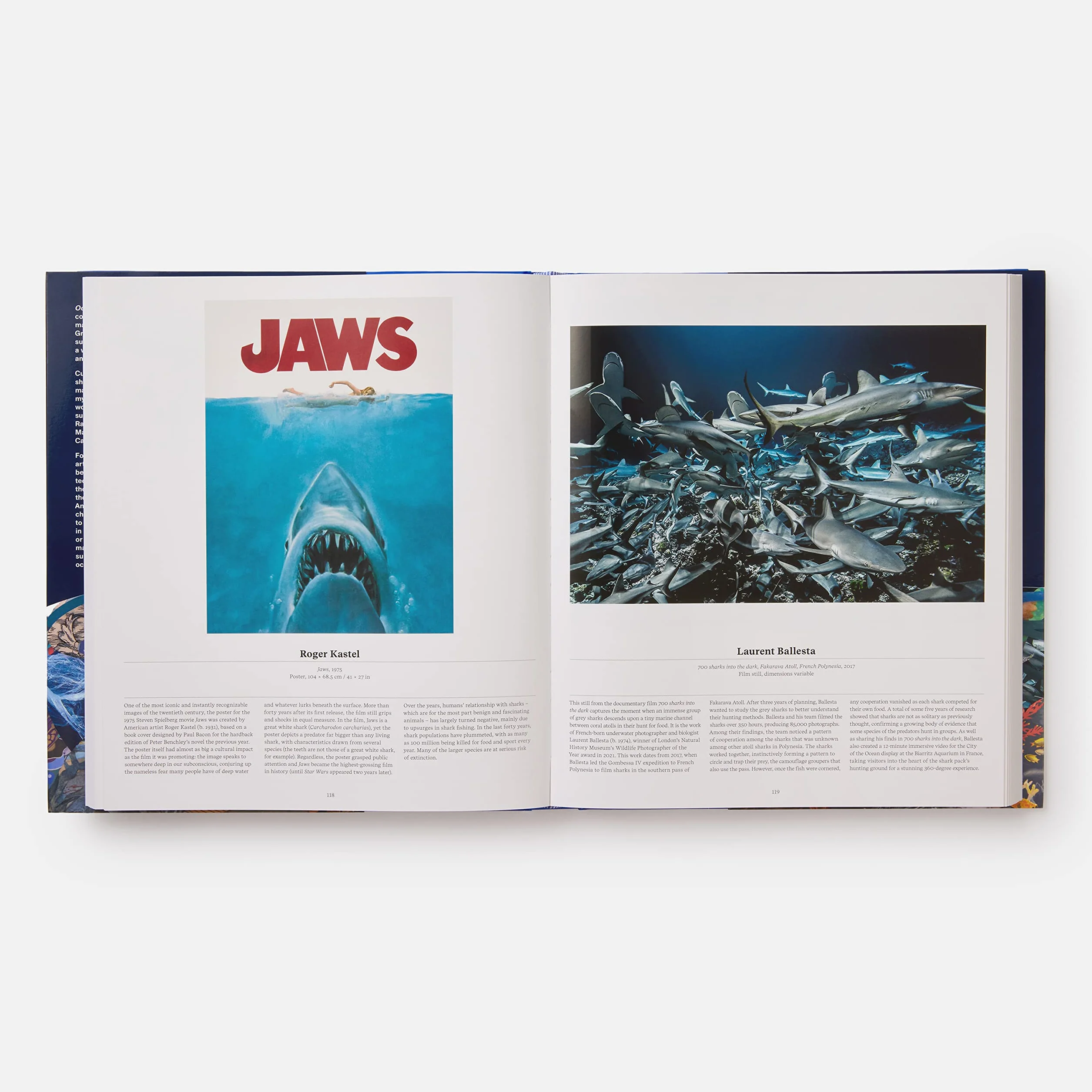 Ocean: exploring the marine world
