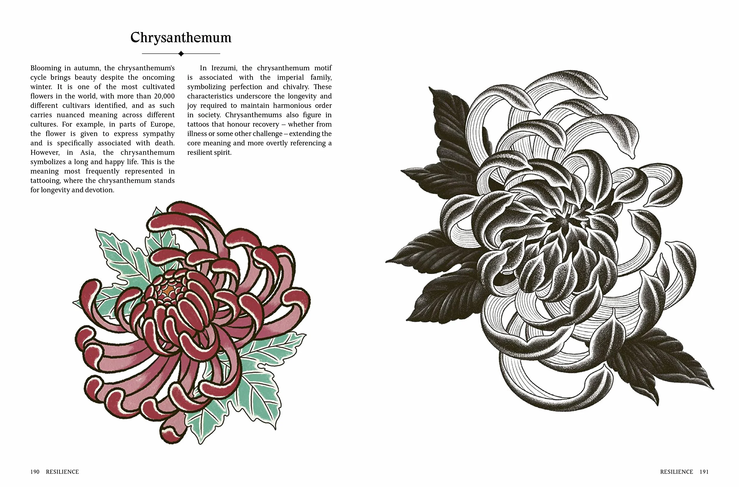 The Language of Tattoos: 130 Symbols and What They Mean
