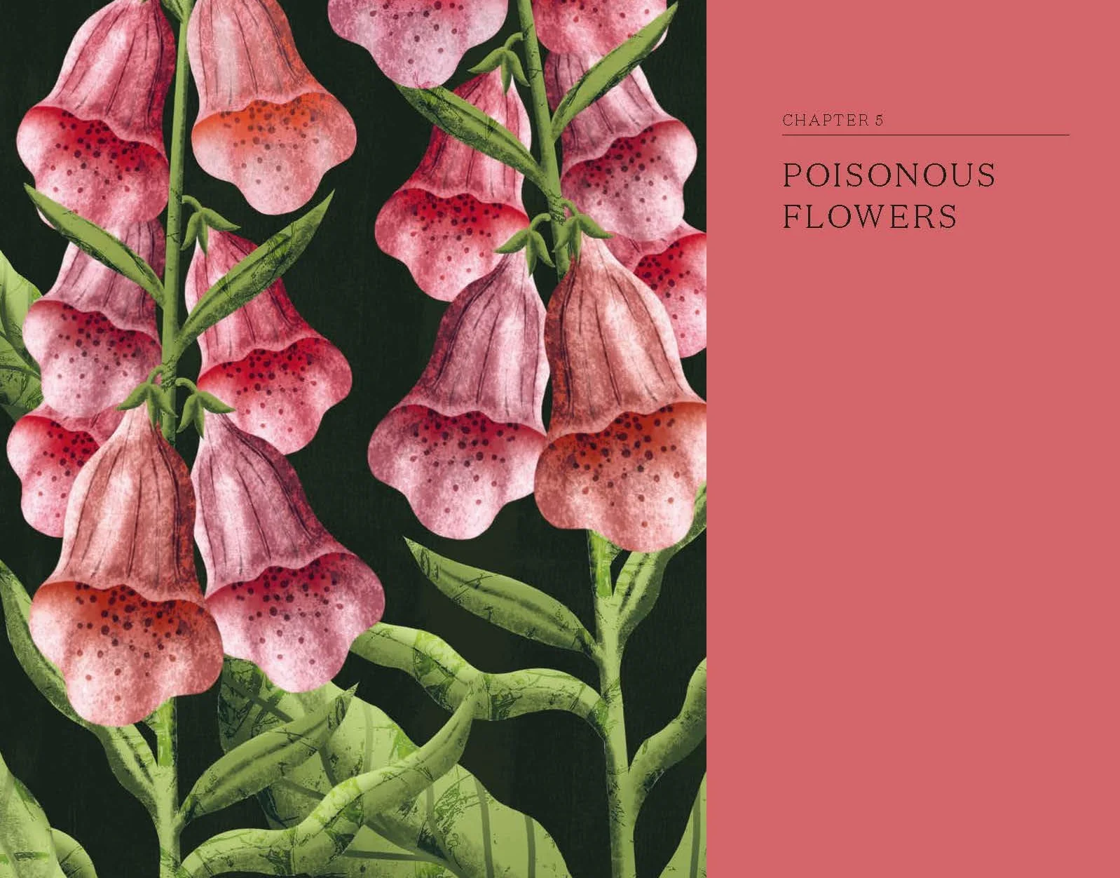 The Hidden Histories of Flowers: Fascinating Stories of Flora