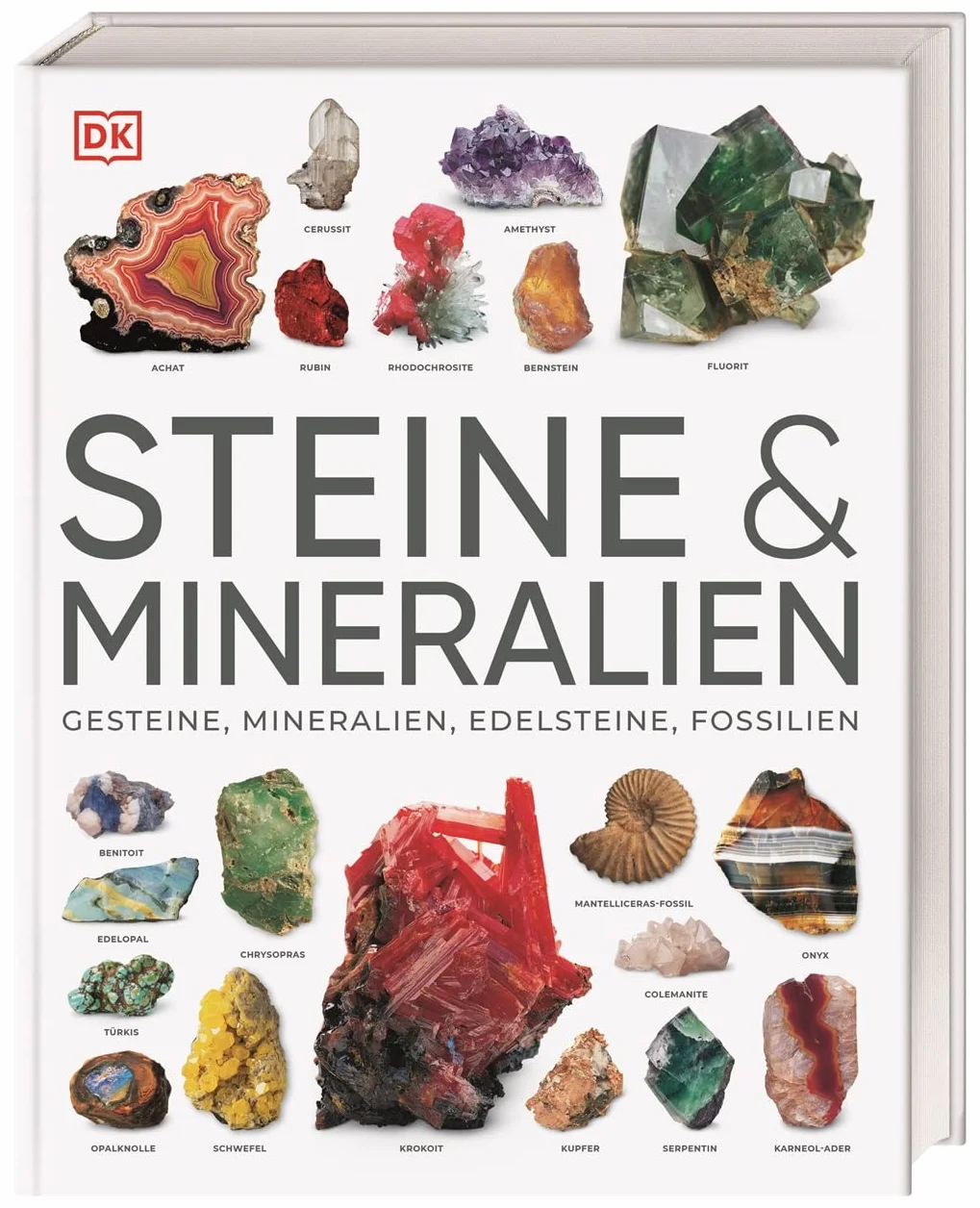 Steine & Mineralien: Über 500 Gesteine, Minerale, Edelsteine und Fossilien - 1200 Farbfotos