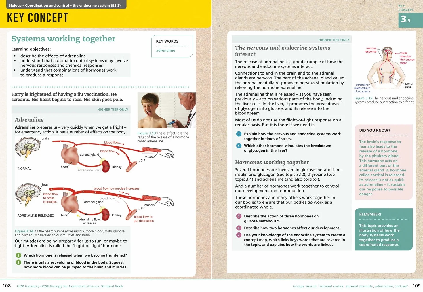 OCR Gateway GCSE Biology for Combined Science 9-1 Student Book