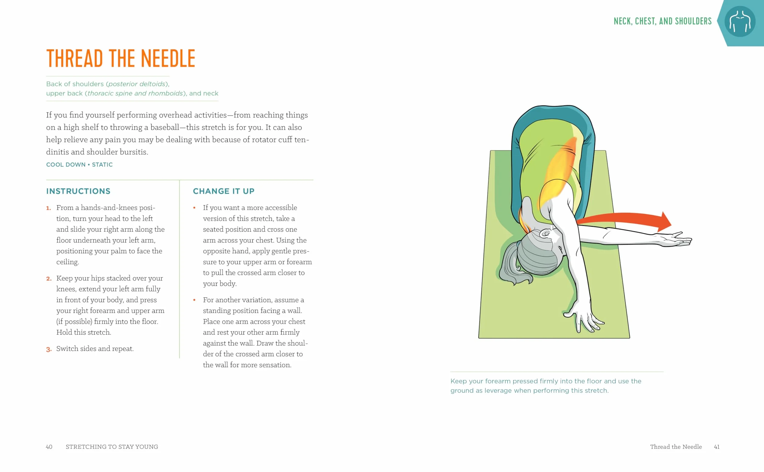 Stretching to Stay Young: Simple Workouts to Keep You Flexible, Energized, and Pain Free