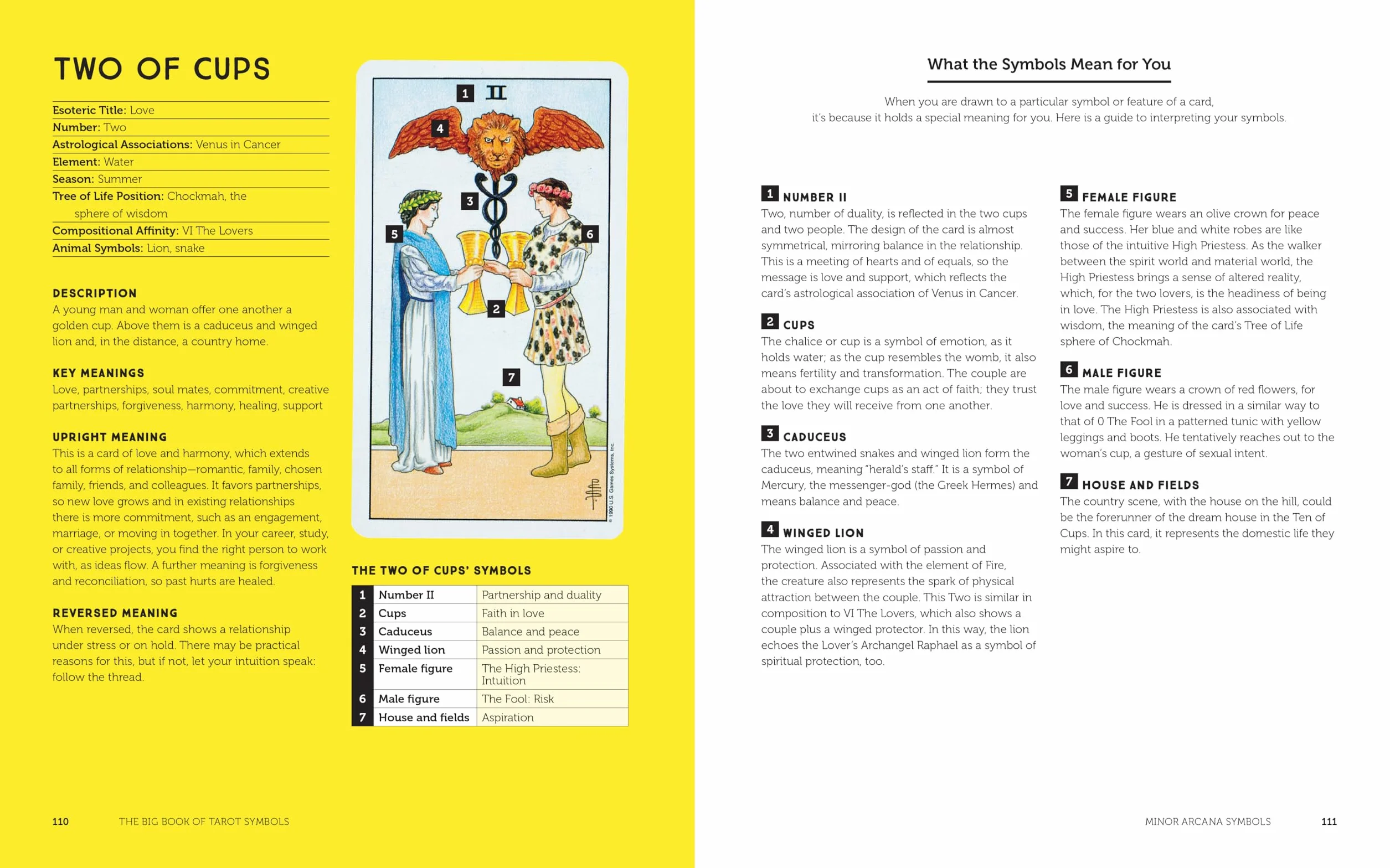 The Big Book of Tarot Symbols: Beginner's Guide to Decoding Cards