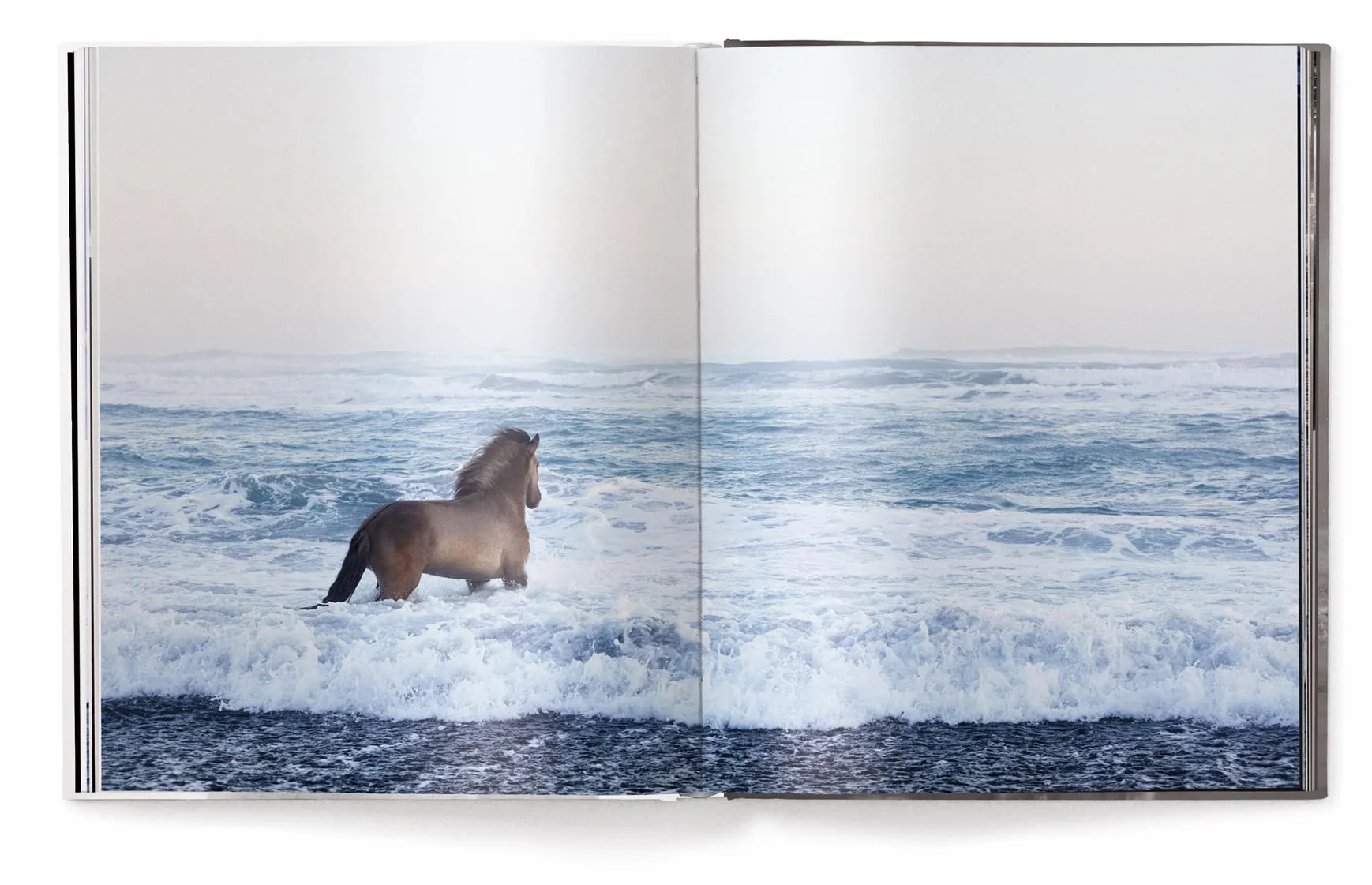 Untamed Spirits: Horses from Around the World