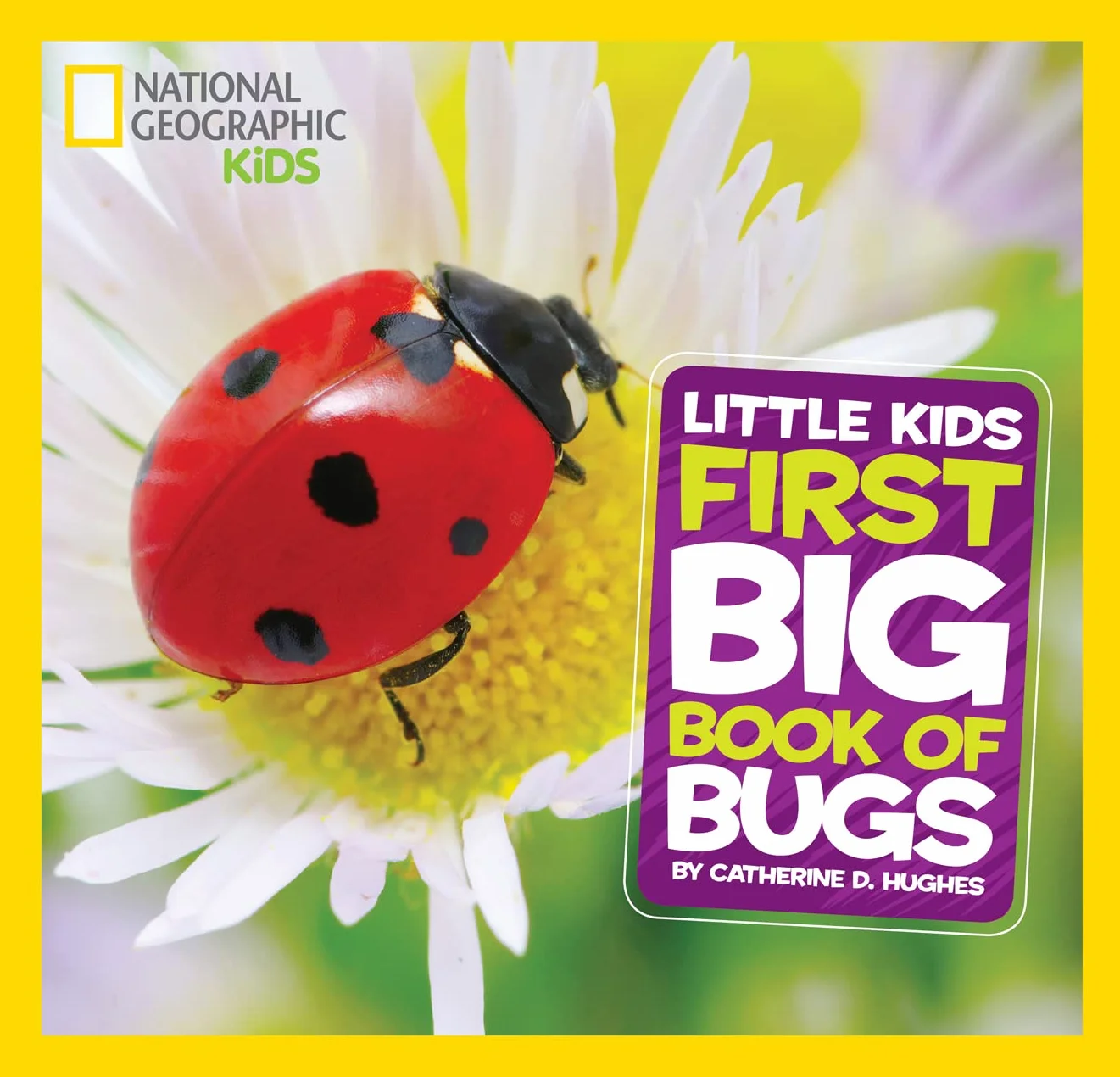 Little Kids First Big Book of Bugs