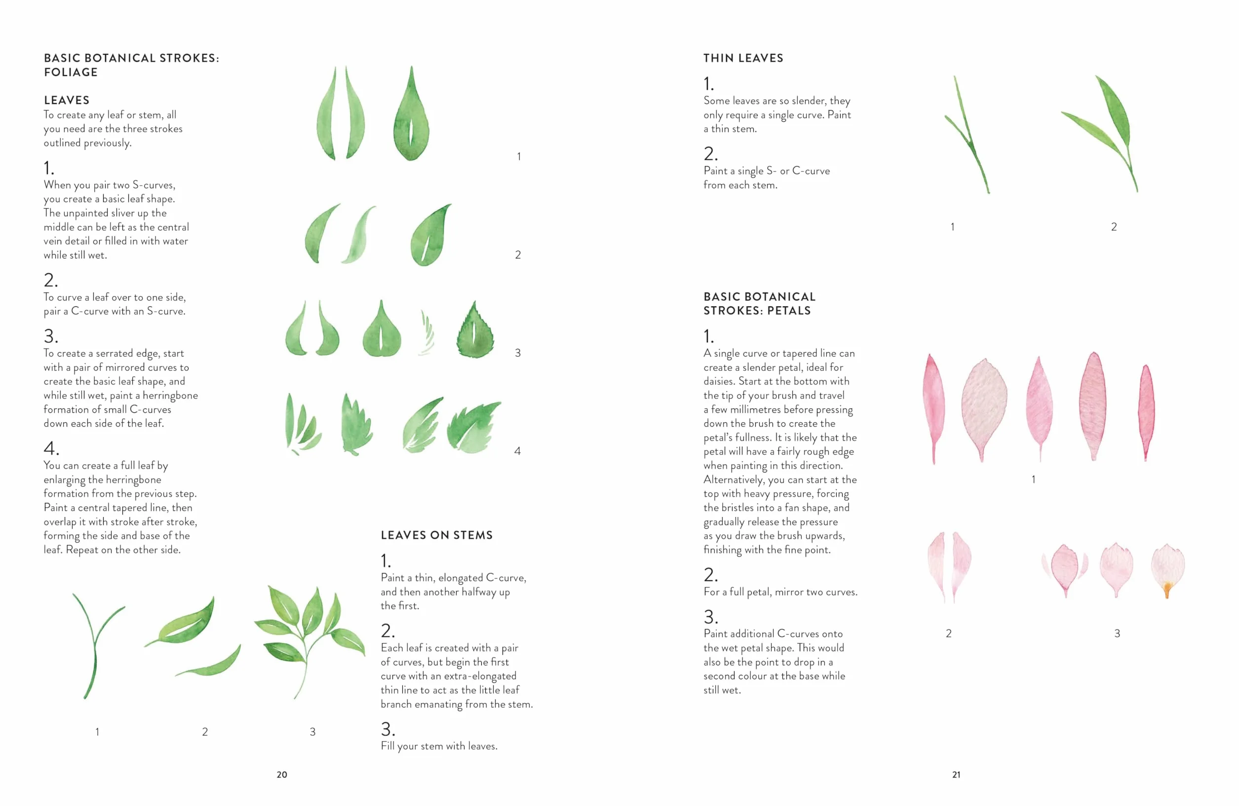Botanical Painting