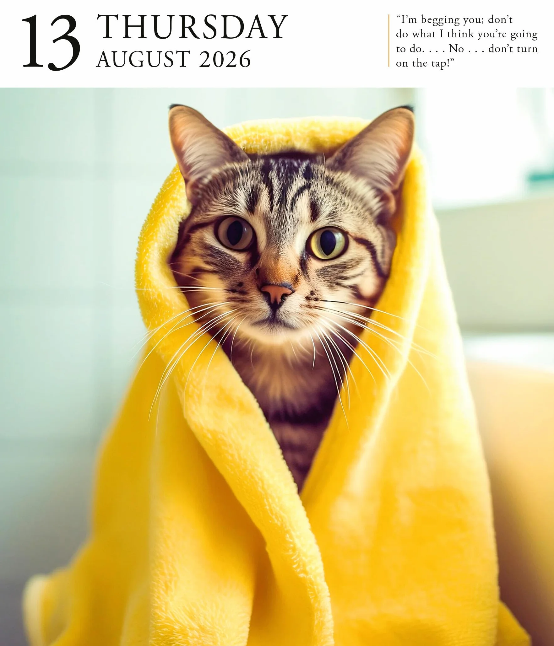 Cat Page-A-Day® Gallery Calendar 2026