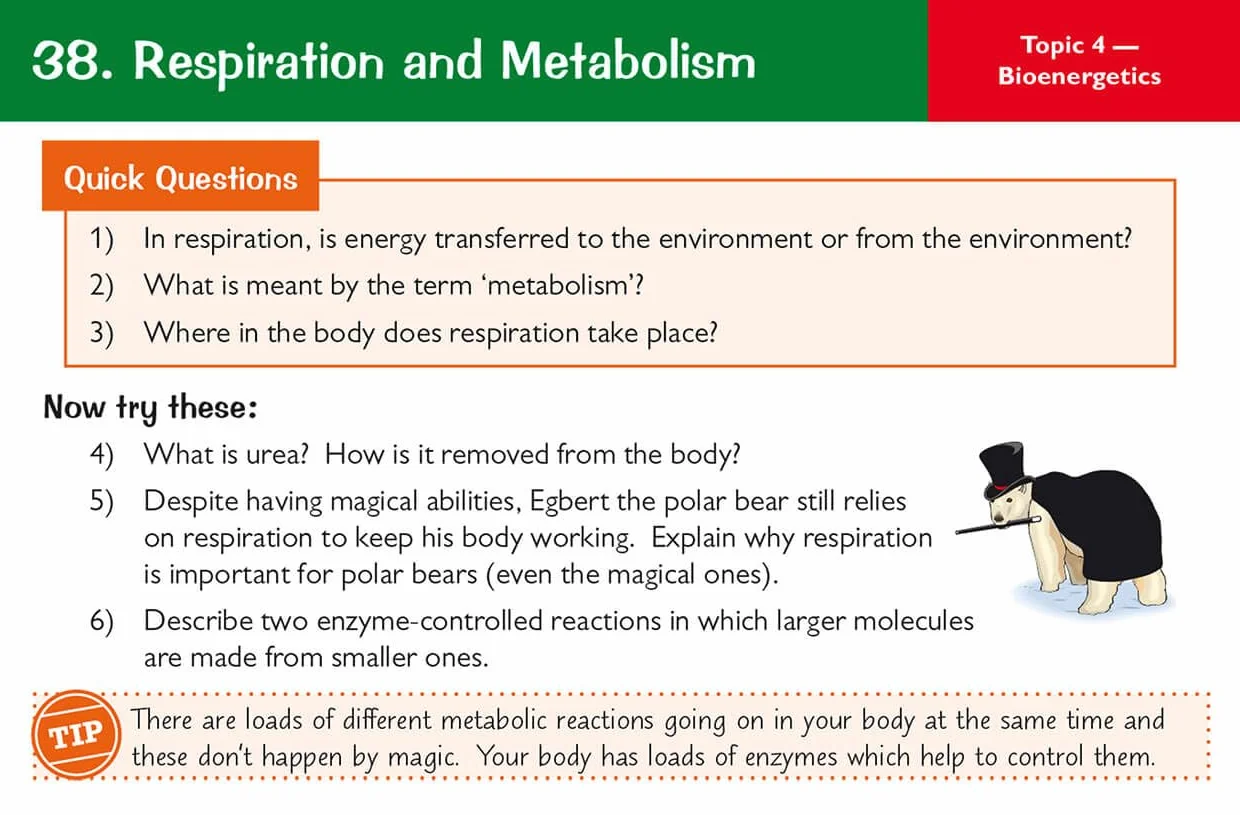 GCSE Biology AQA Revision Question Cards - Q&A cards for quick practice