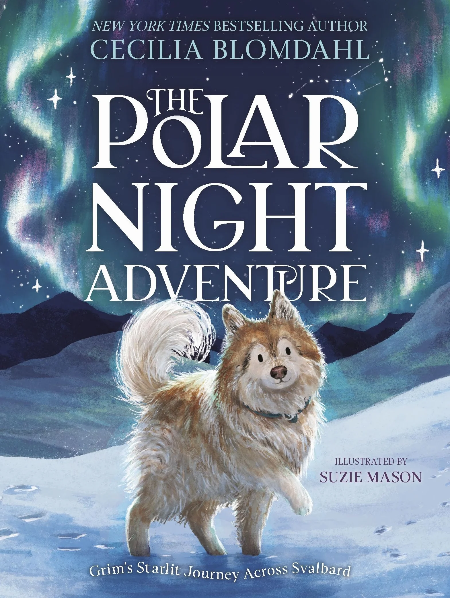 The Polar Night Adventure: Grim's Starlit Journey Across Svalbard