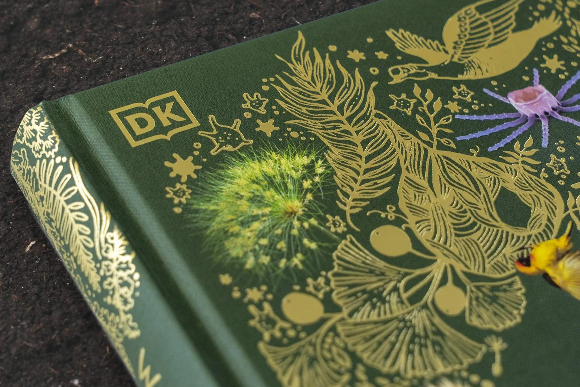 Naturbilderbuch für die ganze Familie mit Lesebändchen, Goldfolie und Goldschnitt