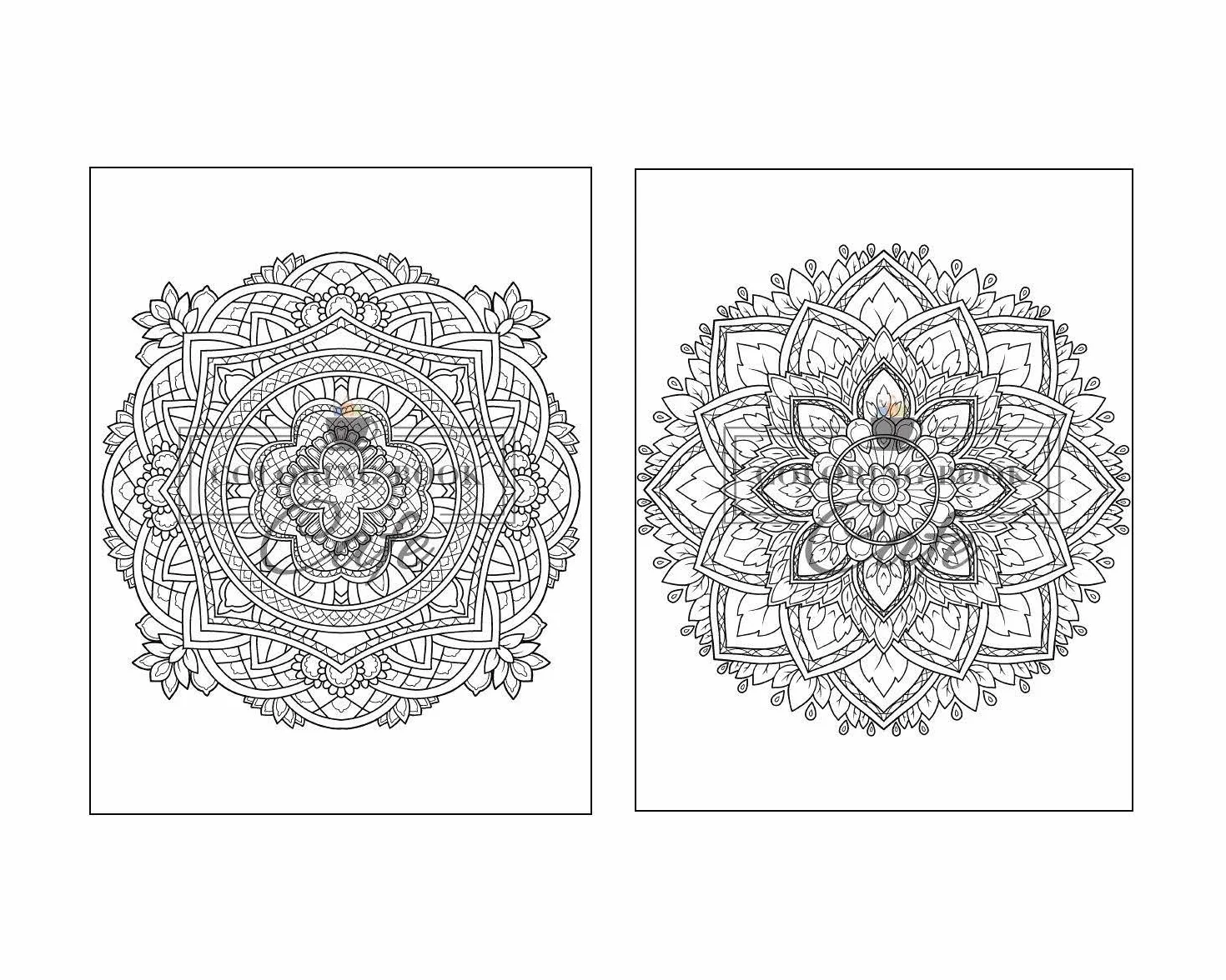 125 Mandalas: An Adult Coloring Book Featuring 125 of the World’s Most Beautiful Mandalas for Stress Relief and Relaxation