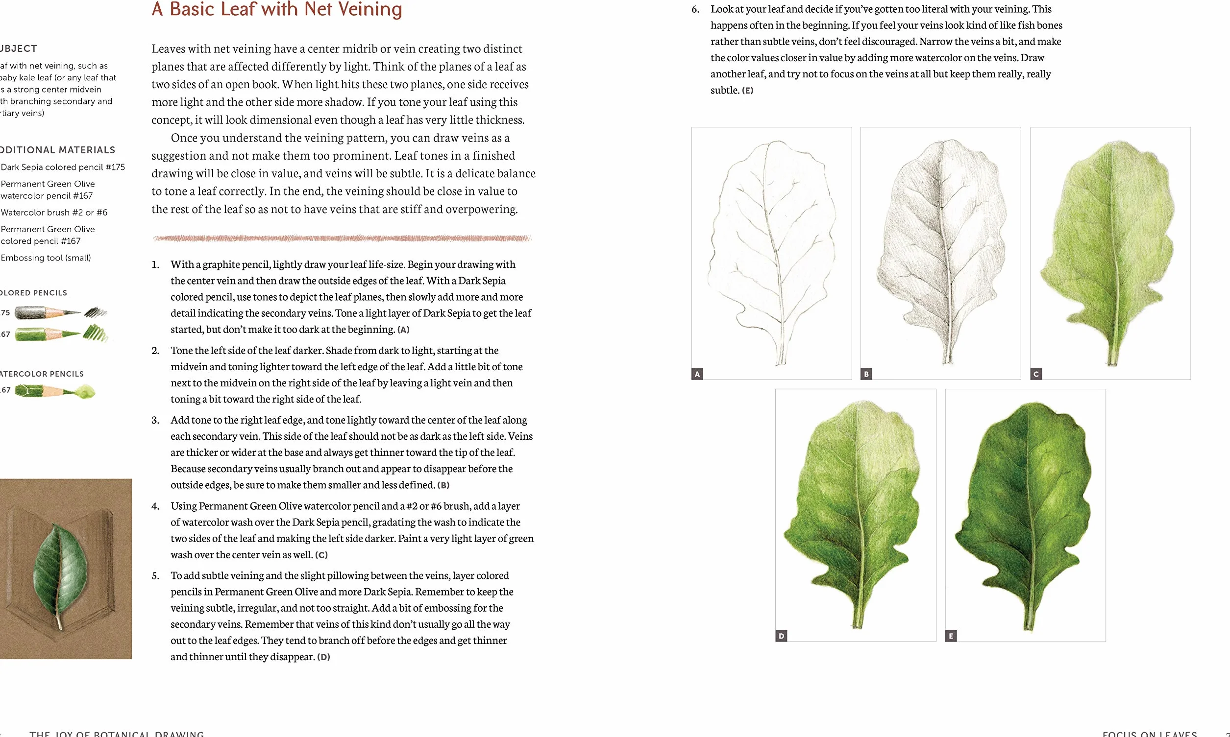 The Joy of Botanical Drawing: A Step-by-Step Guide to Drawing and Painting Flowers, Leaves, Fruit