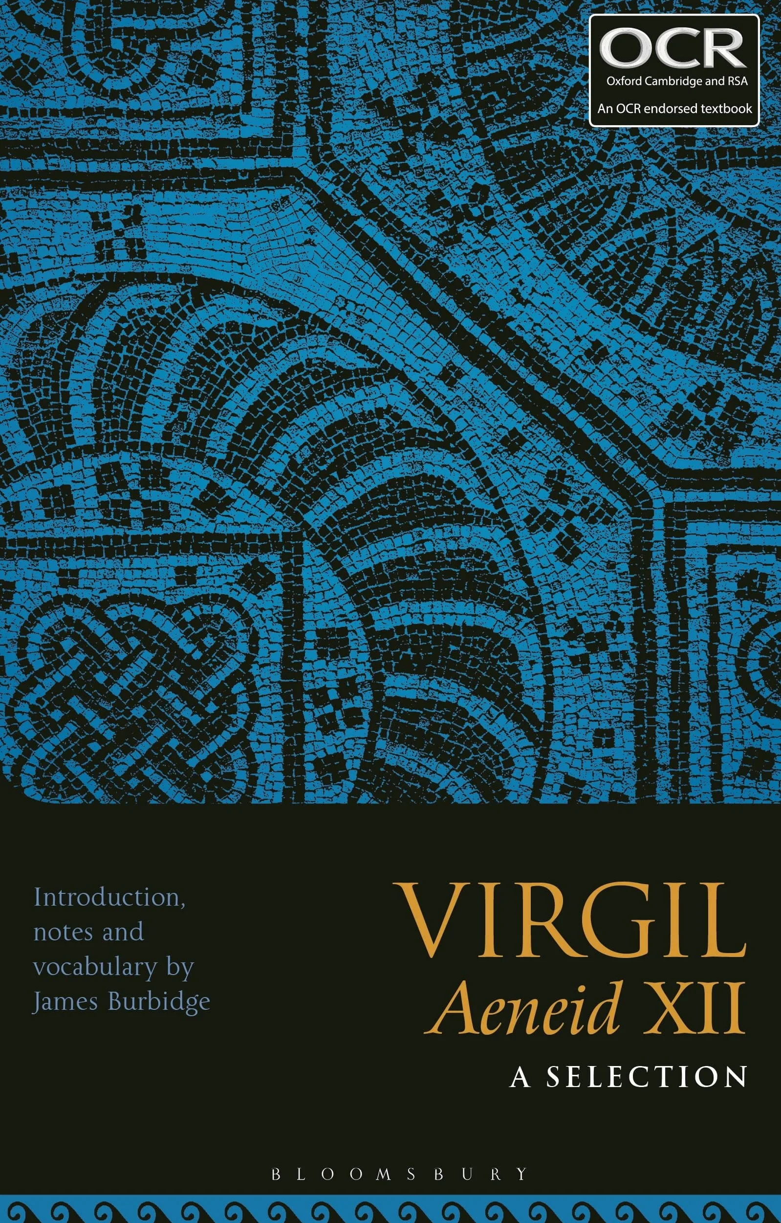 Virgil Aeneid XII: A Selection