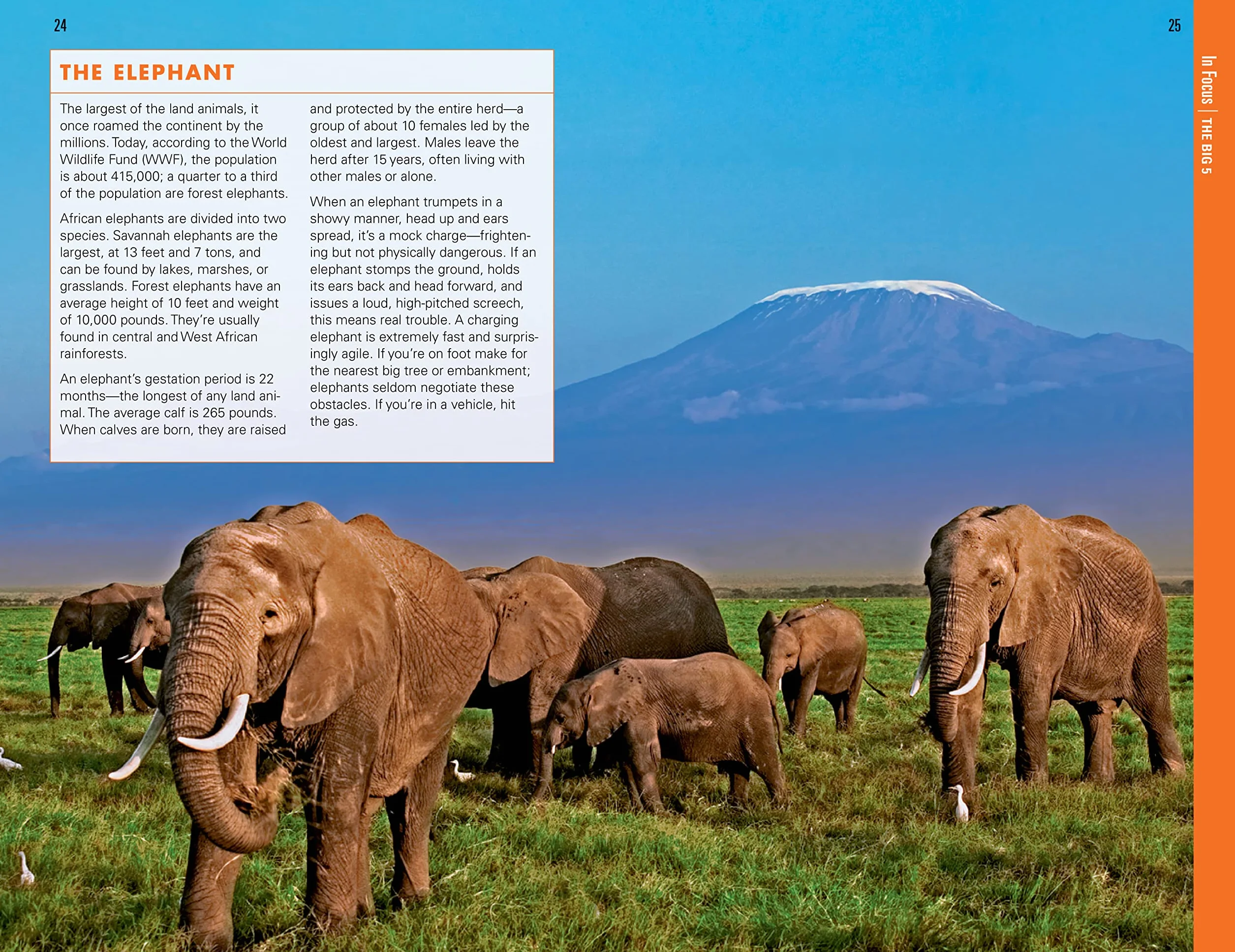 Fodor's Complete Guide to African Safaris: South Africa, Kenya, Tanzania, Botswana, Namibia, Rwanda, Uganda & Victoria Falls