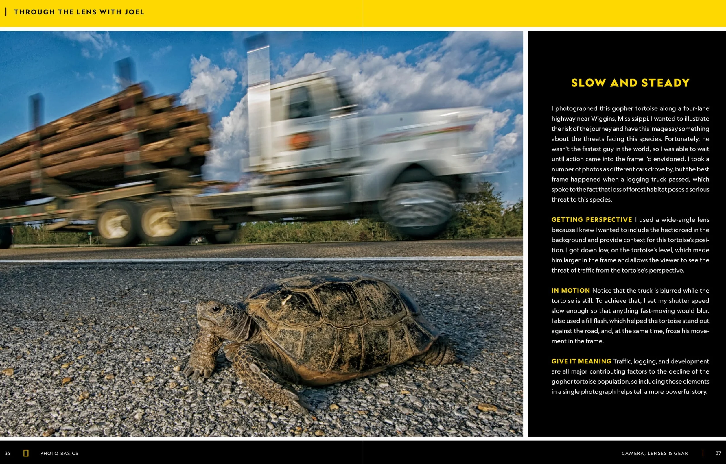 National Geographic Photo Basics: The Ultimate Beginner's Guide to Great Photography