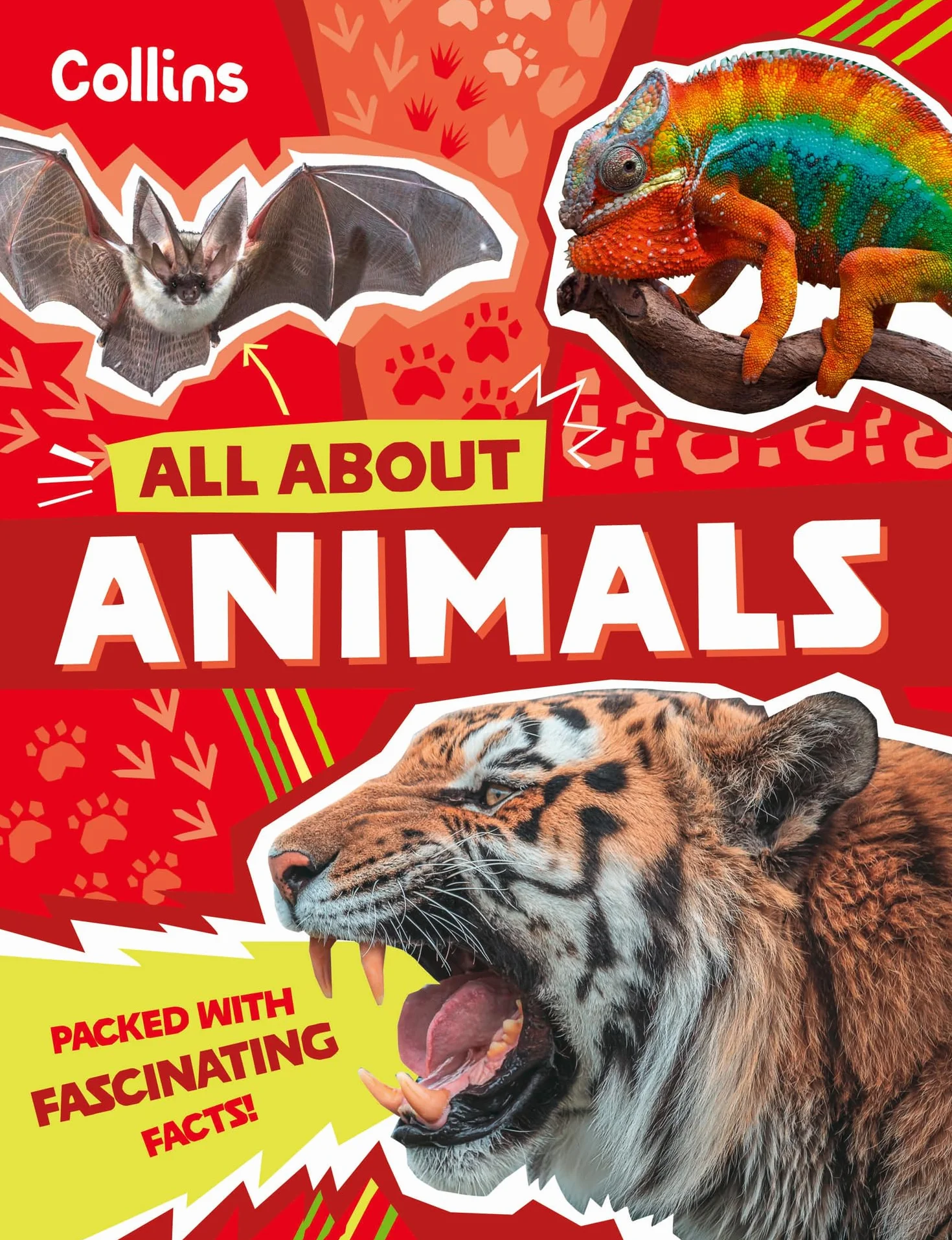 Animals: Discover fascinating facts about wildlife