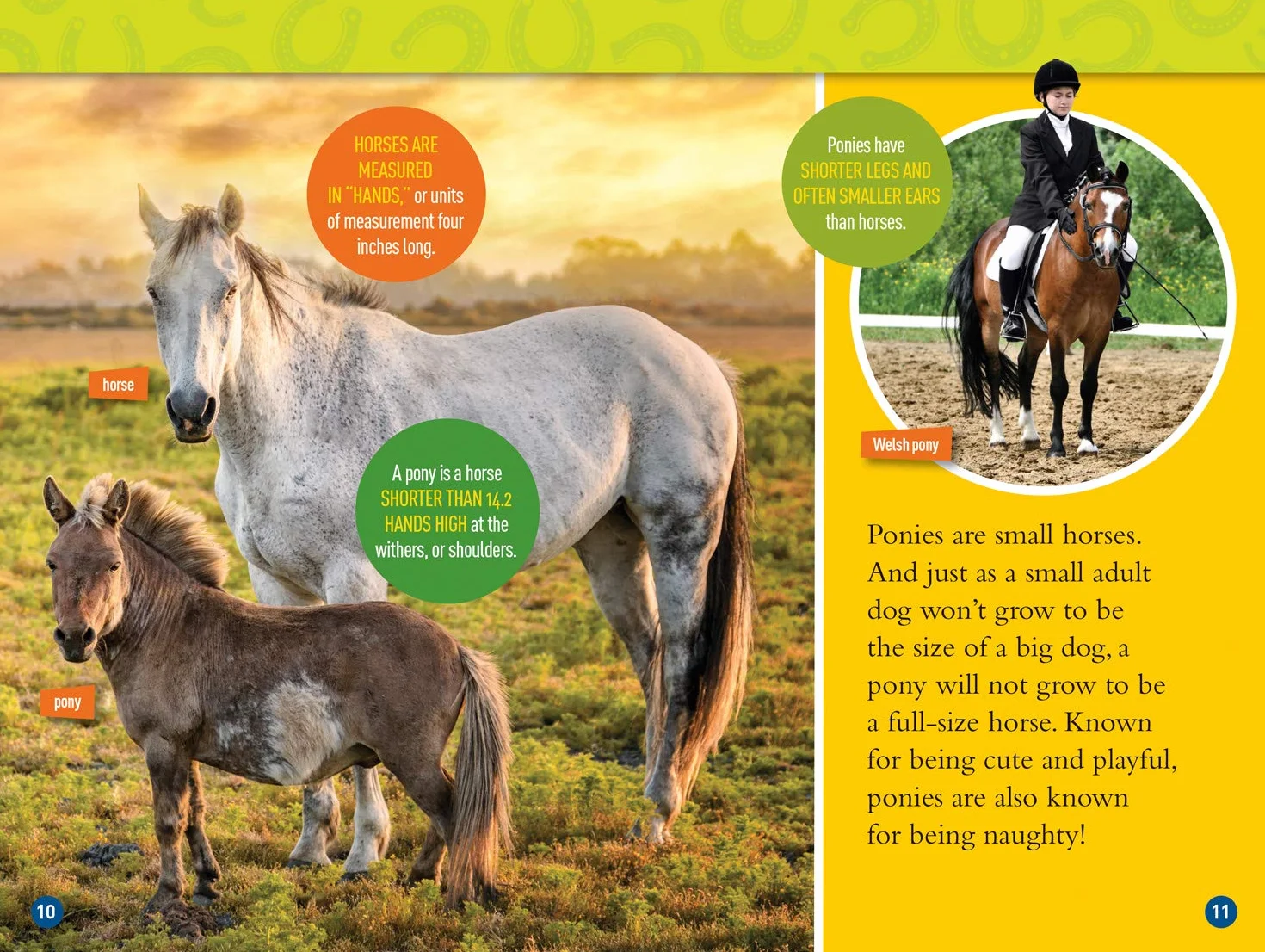 National Geographic Kids Readers: Gallop! 100 Fun Facts About Horses