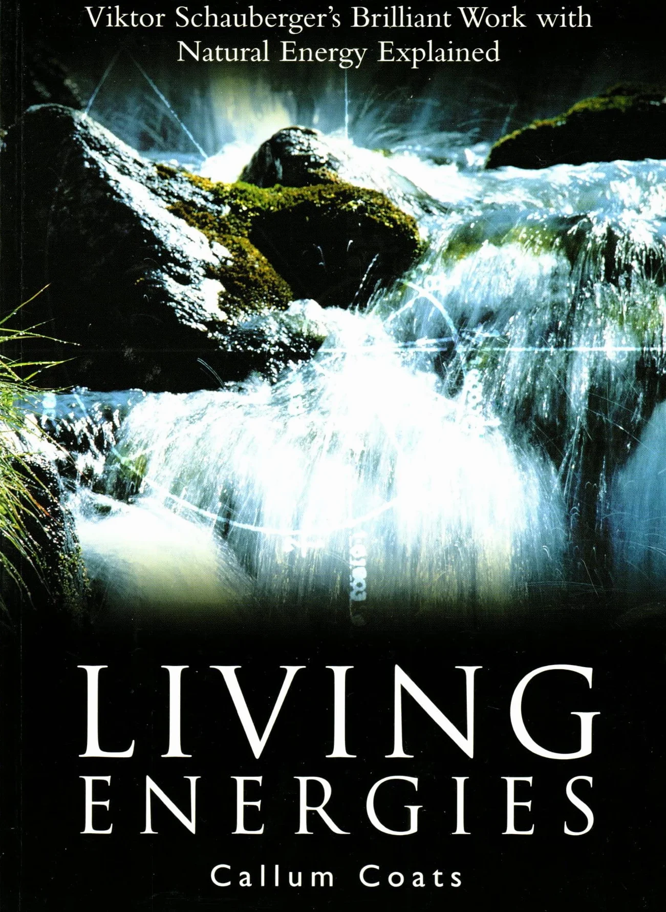 Living Energies: Viktor Scahuberger's Brilliant Work with Natural Energy Explained