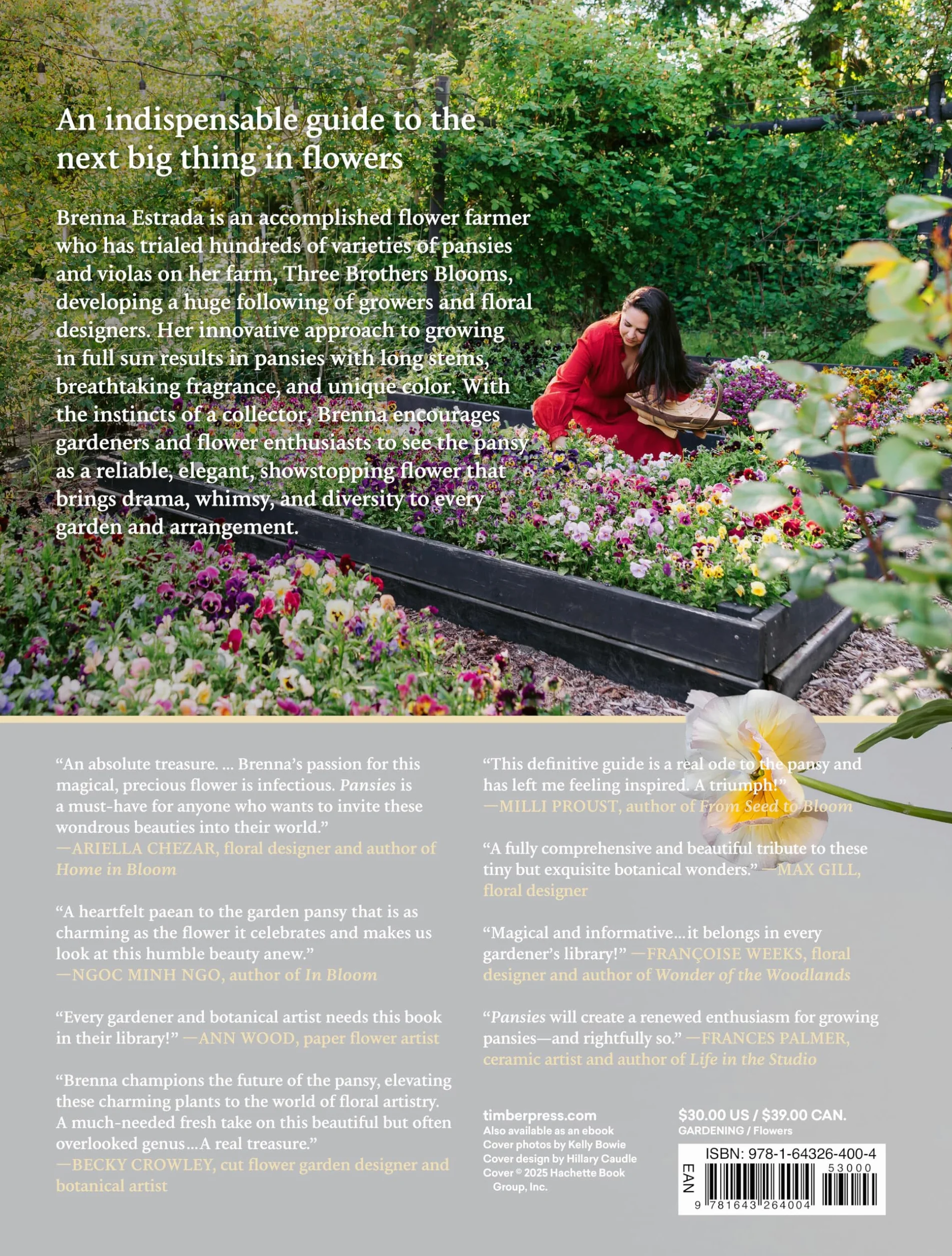 Pansies Violas Growing Guide: Create Beauty with Pansies and Violas
