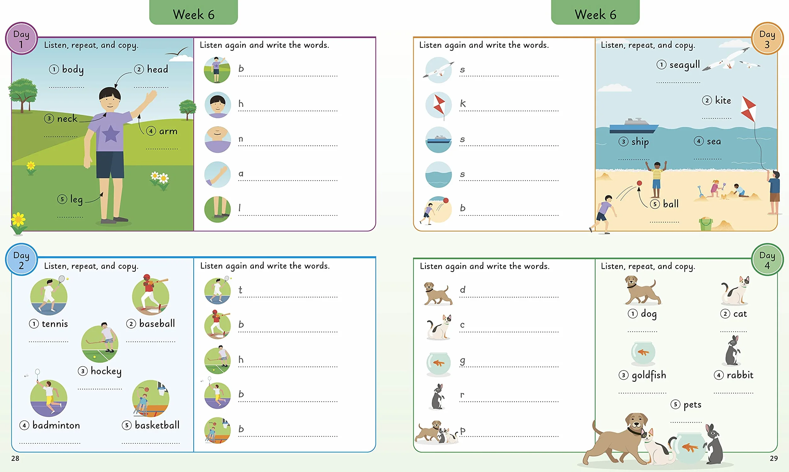 English for Everyone Junior 5 Words a Day: Learn 1,000 English Words