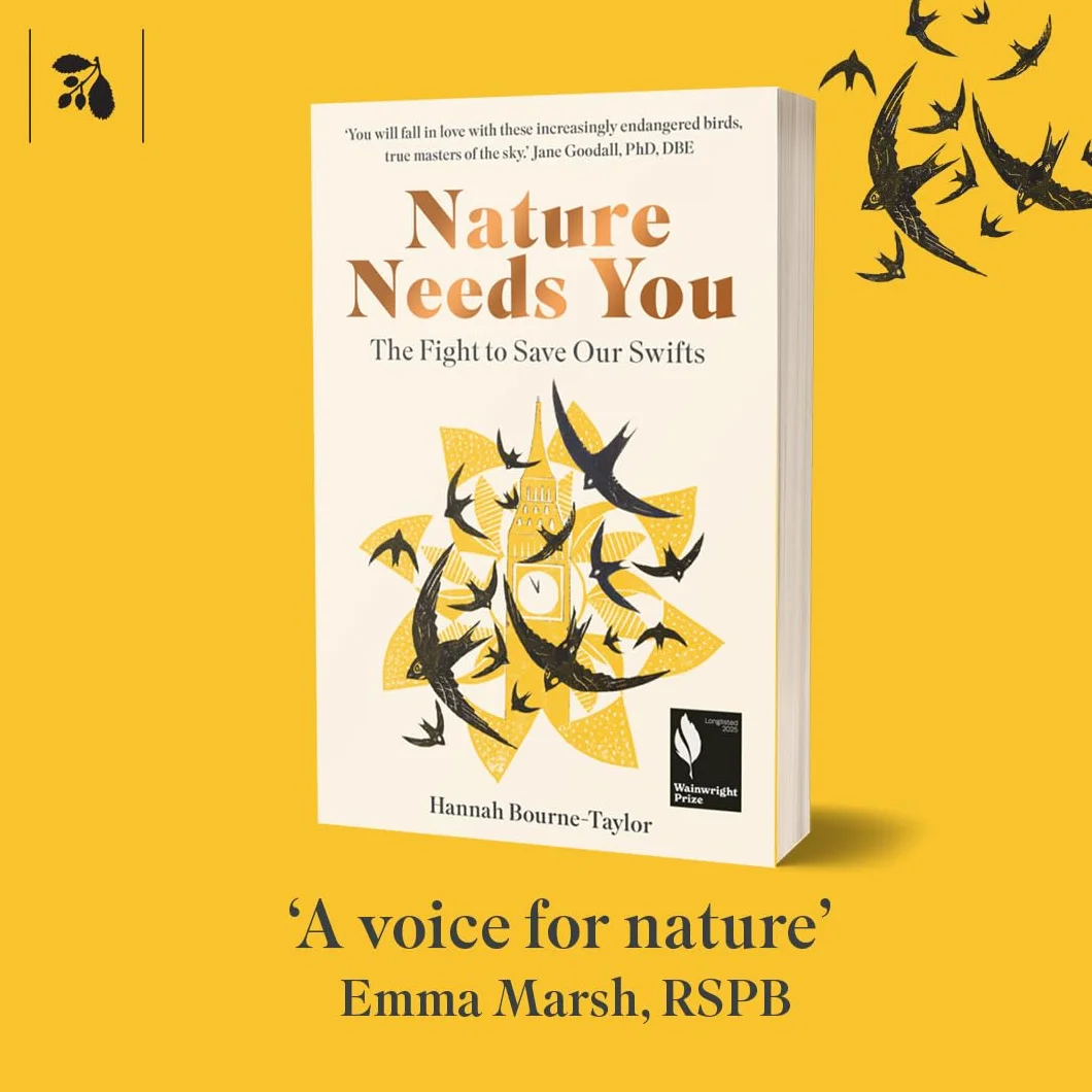 Nature Needs You: The Fight to Save Our Swifts