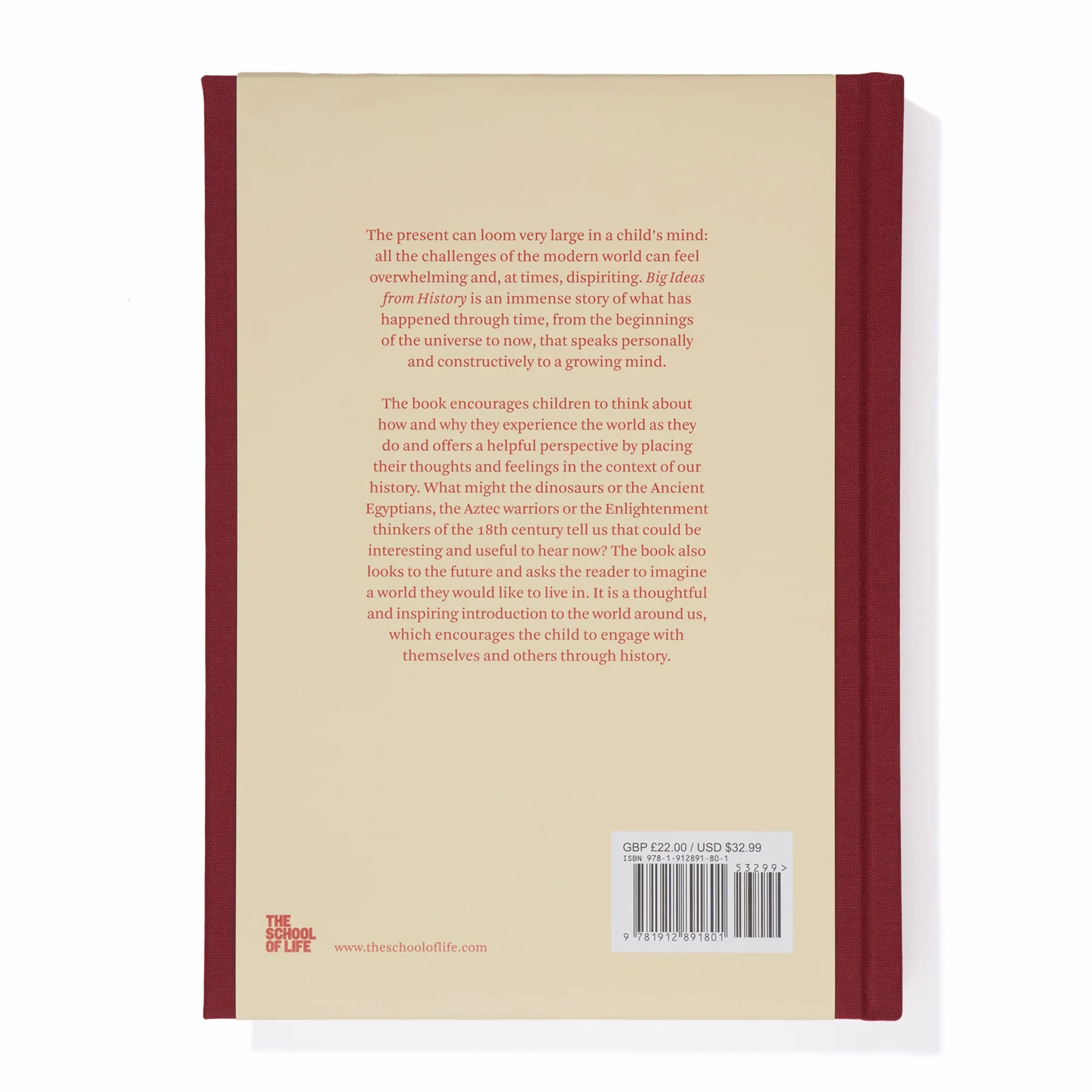 Big Ideas from History: A history of the world for you