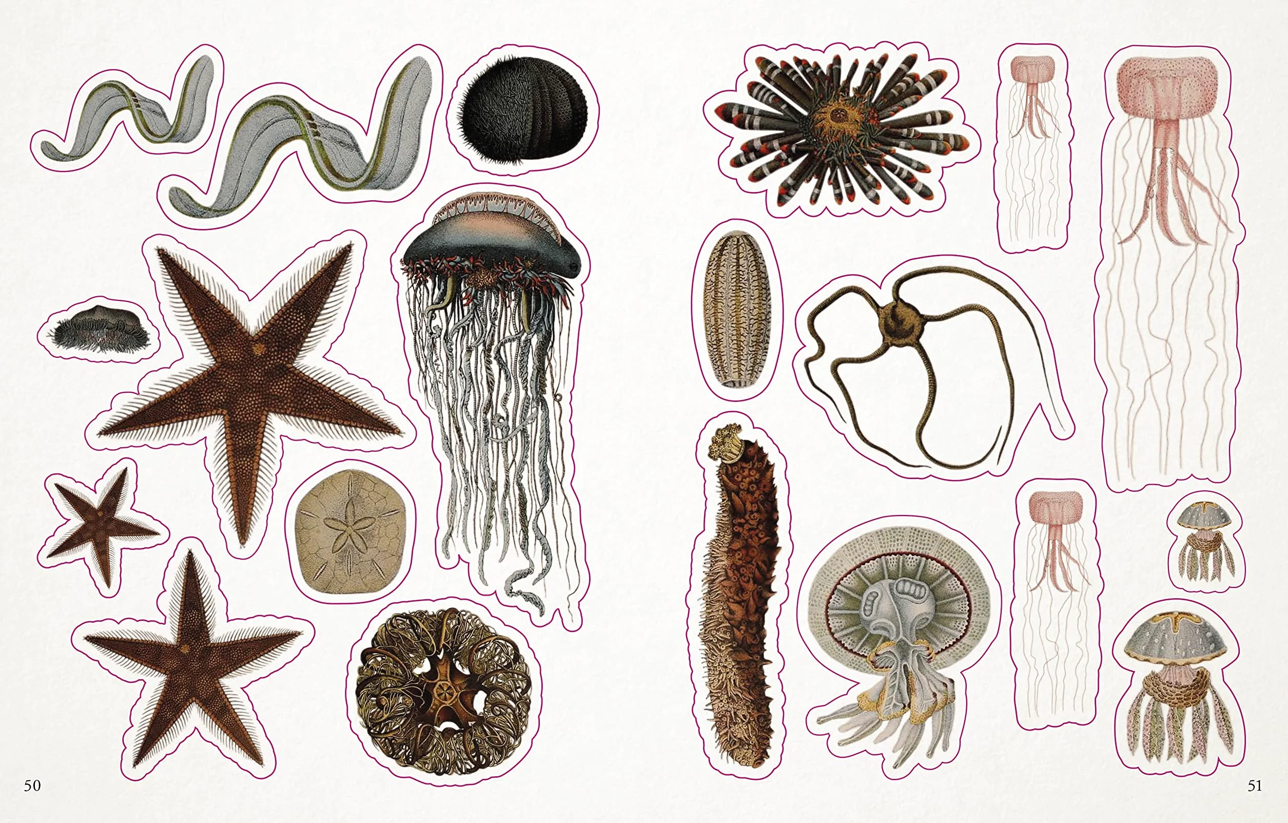 The Seashore Sticker Anthology: 1,000+ Vintage Stickers