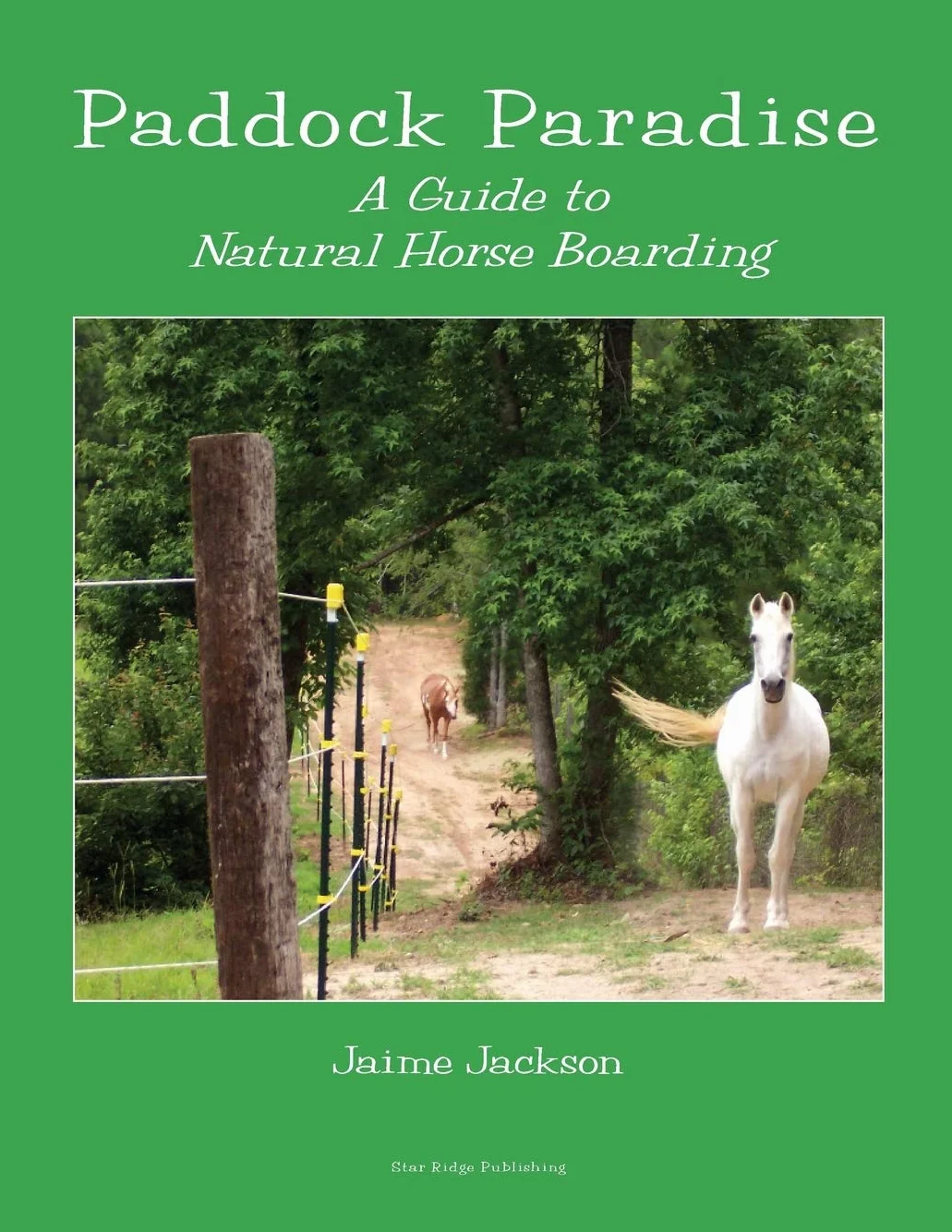 Paddock Paradise: A Guide to Natural Horse Boarding