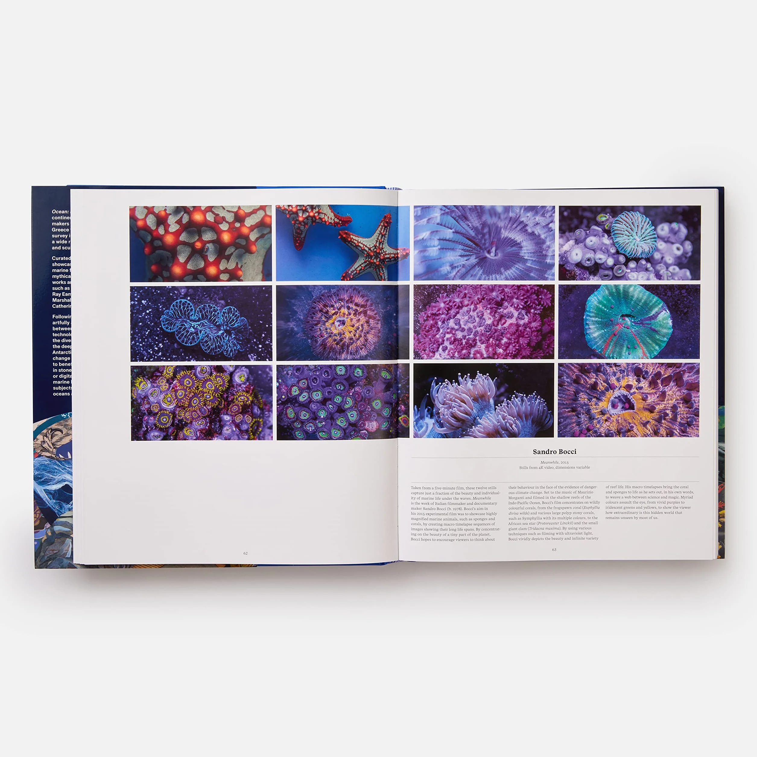 Ocean: exploring the marine world
