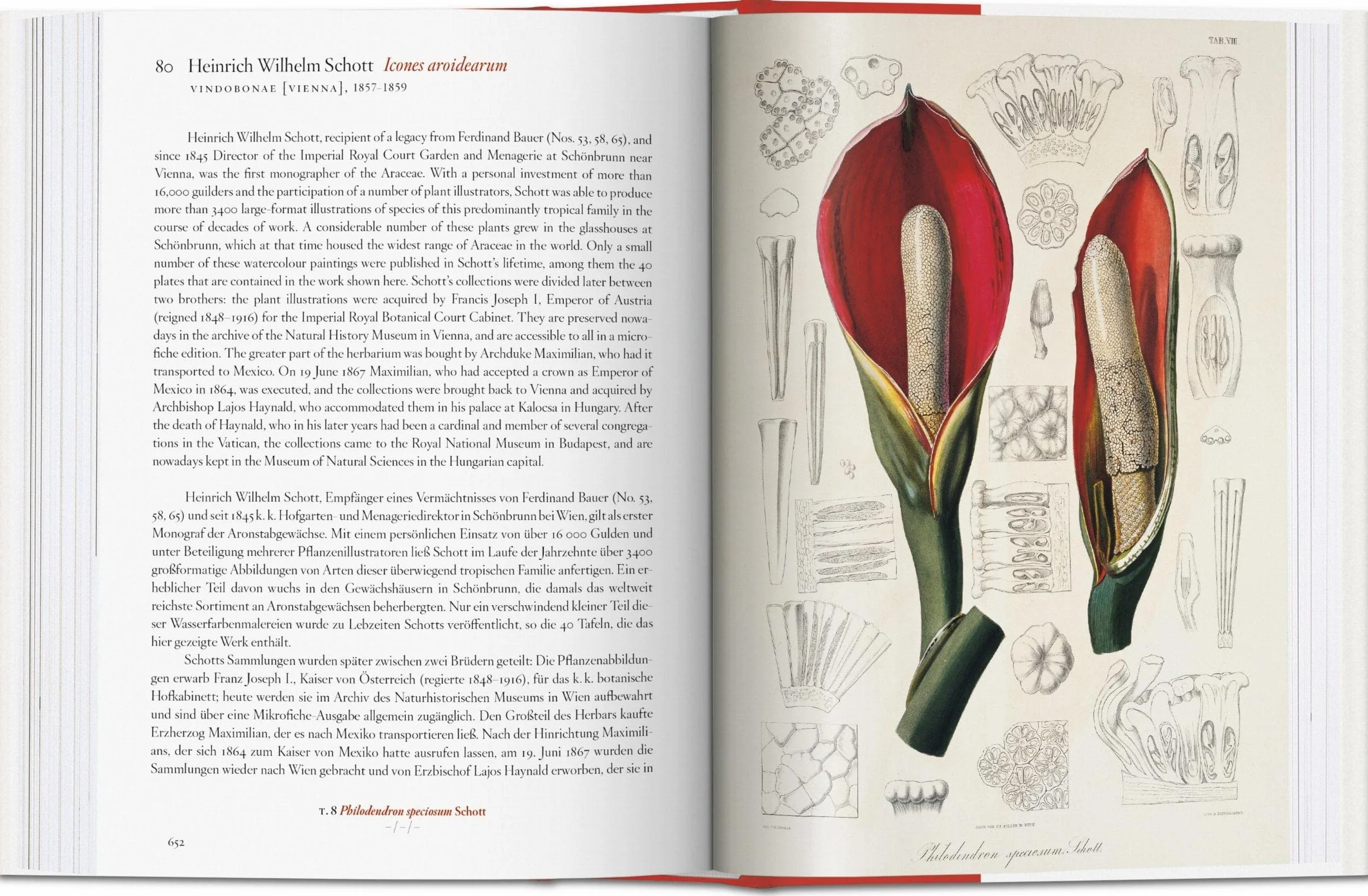 Masterpieces of Botanical Illustration 45th Ed.