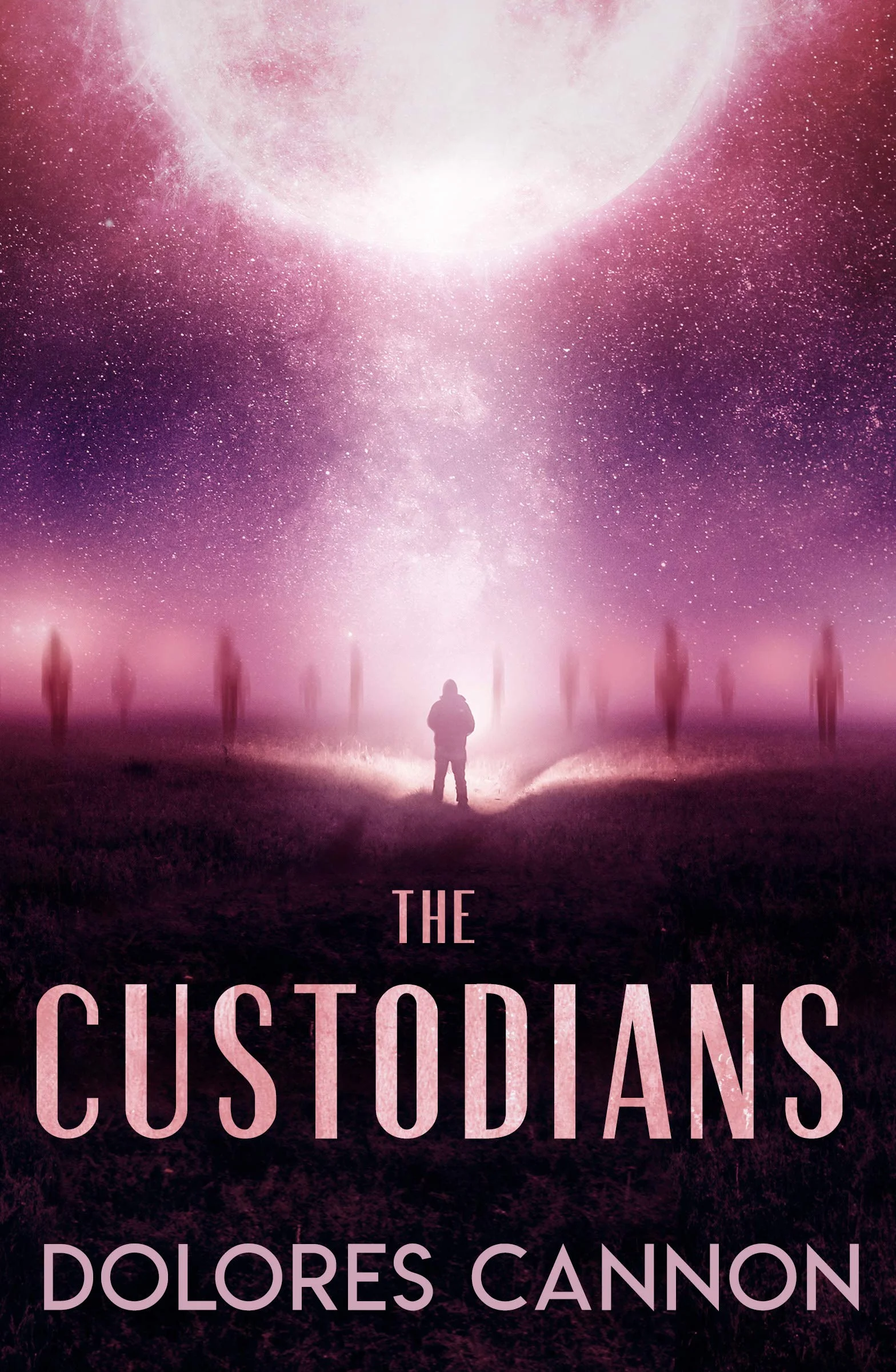 The Custodians: Beyond Abduction