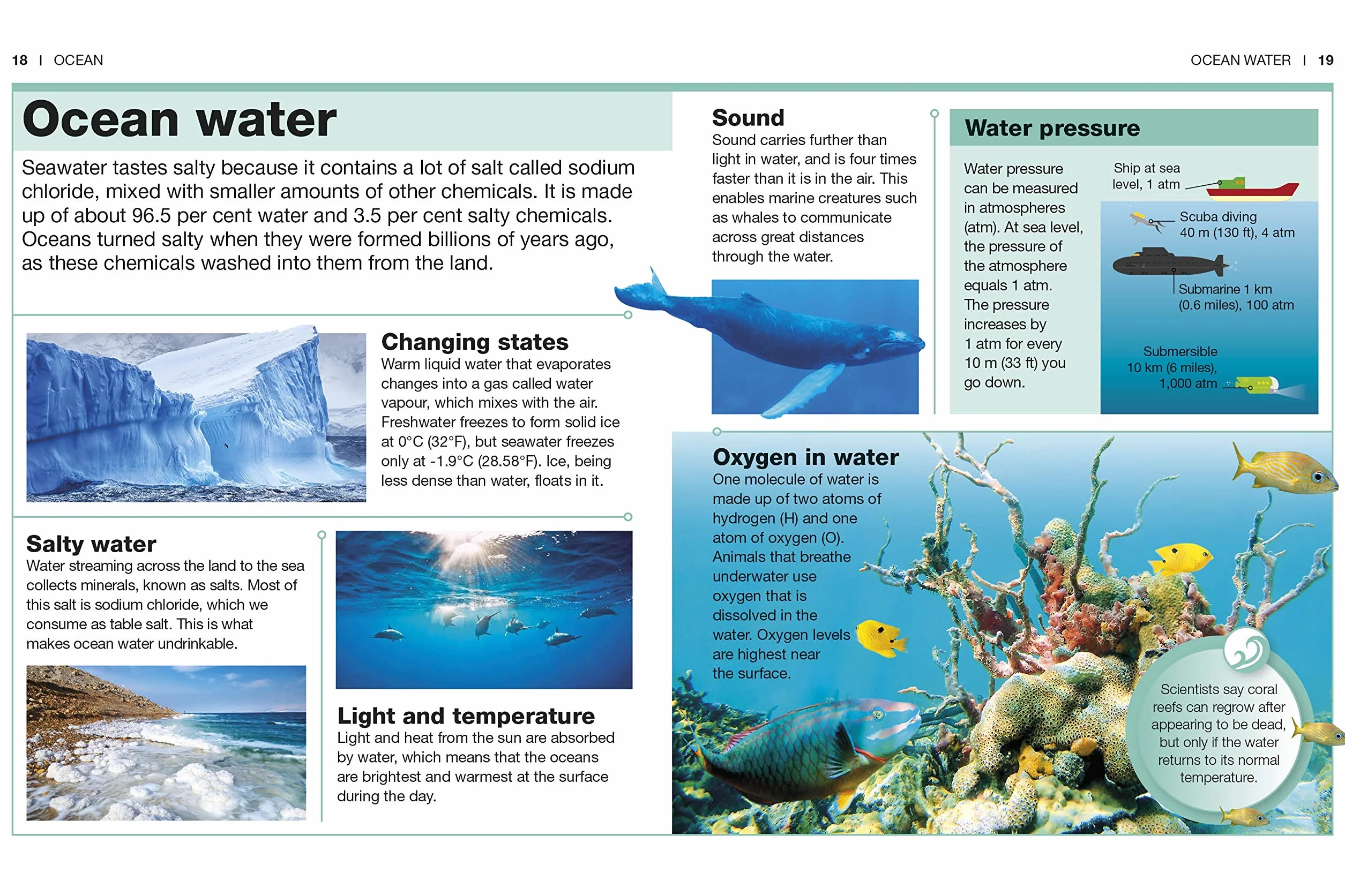 Ocean: Facts at Your Fingertips (Pocket Eyewitness)