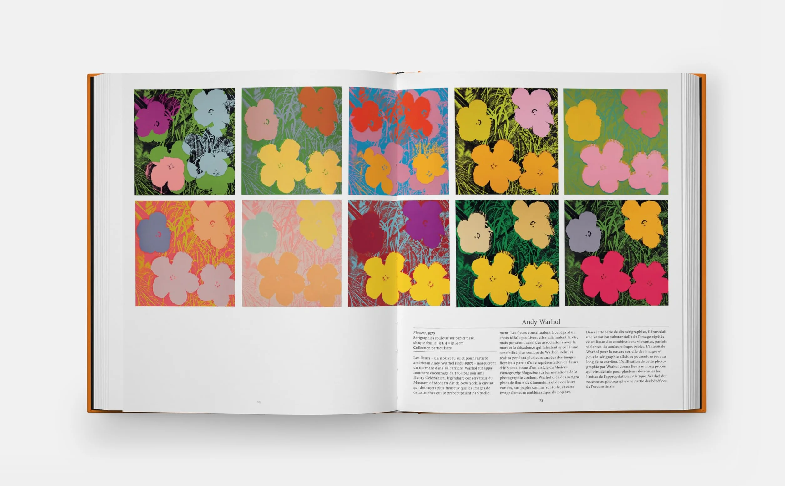Explorer le monde floral