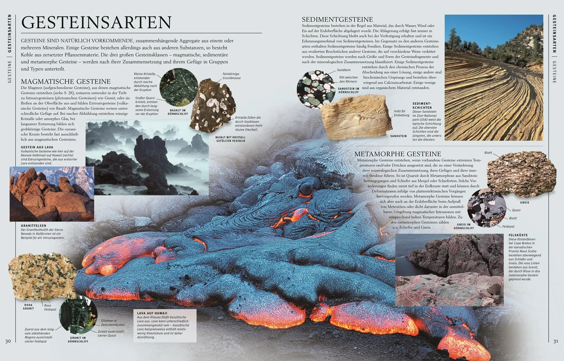 Steine & Mineralien: Über 500 Gesteine, Minerale, Edelsteine und Fossilien - 1200 Farbfotos