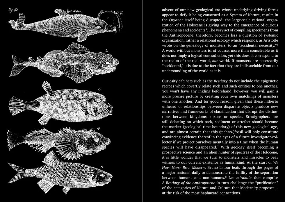 A Bestiary of the Anthropocene: Hybrid Plants, Animals, Minerals, Fungi, and Other Specimens